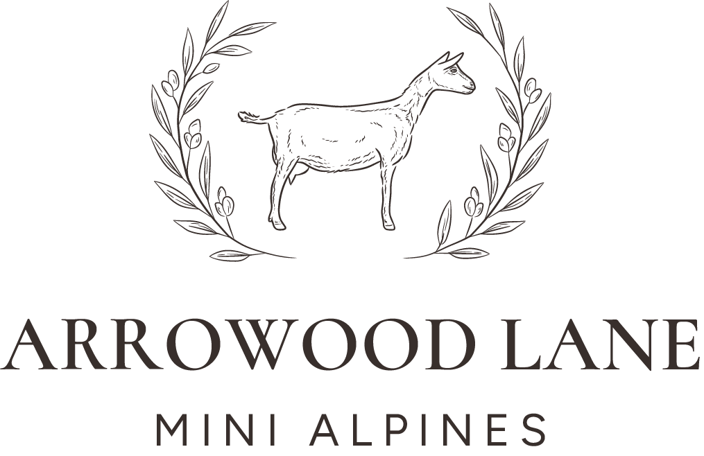 ARROWOOD LANE MINI ALPINES