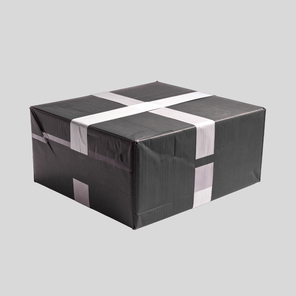 Black White Modern Drone Pilot Logo.png