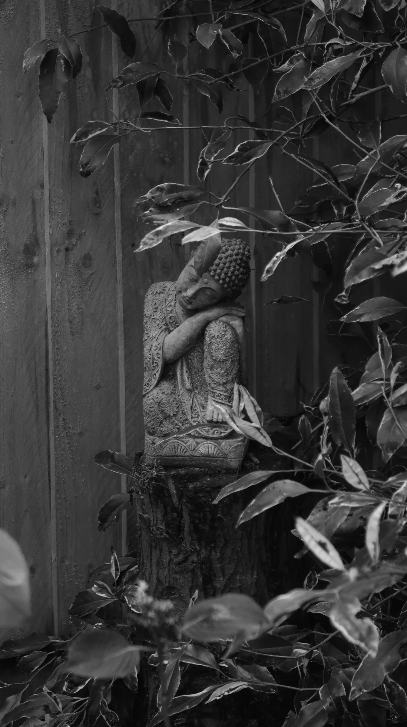 A stone Buddha statue resting on a tree stump, surrounded by leaves and wood paneling background.