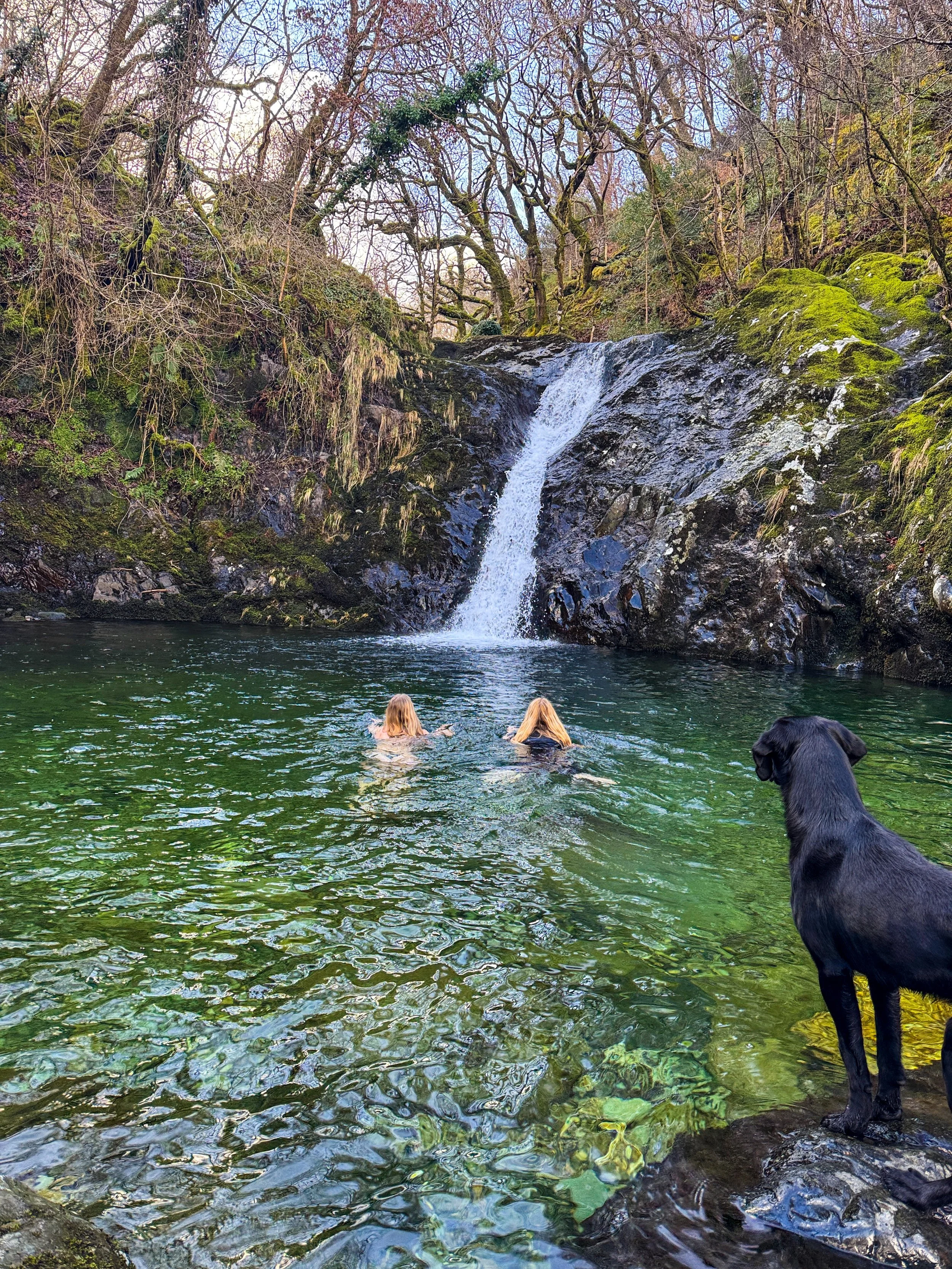 Two women swimming in a natural pool beneath a small waterfall surrounded by mossy rocks and leafless trees.