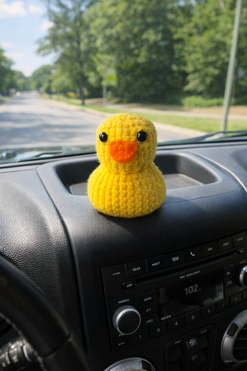 Dash Duckie™