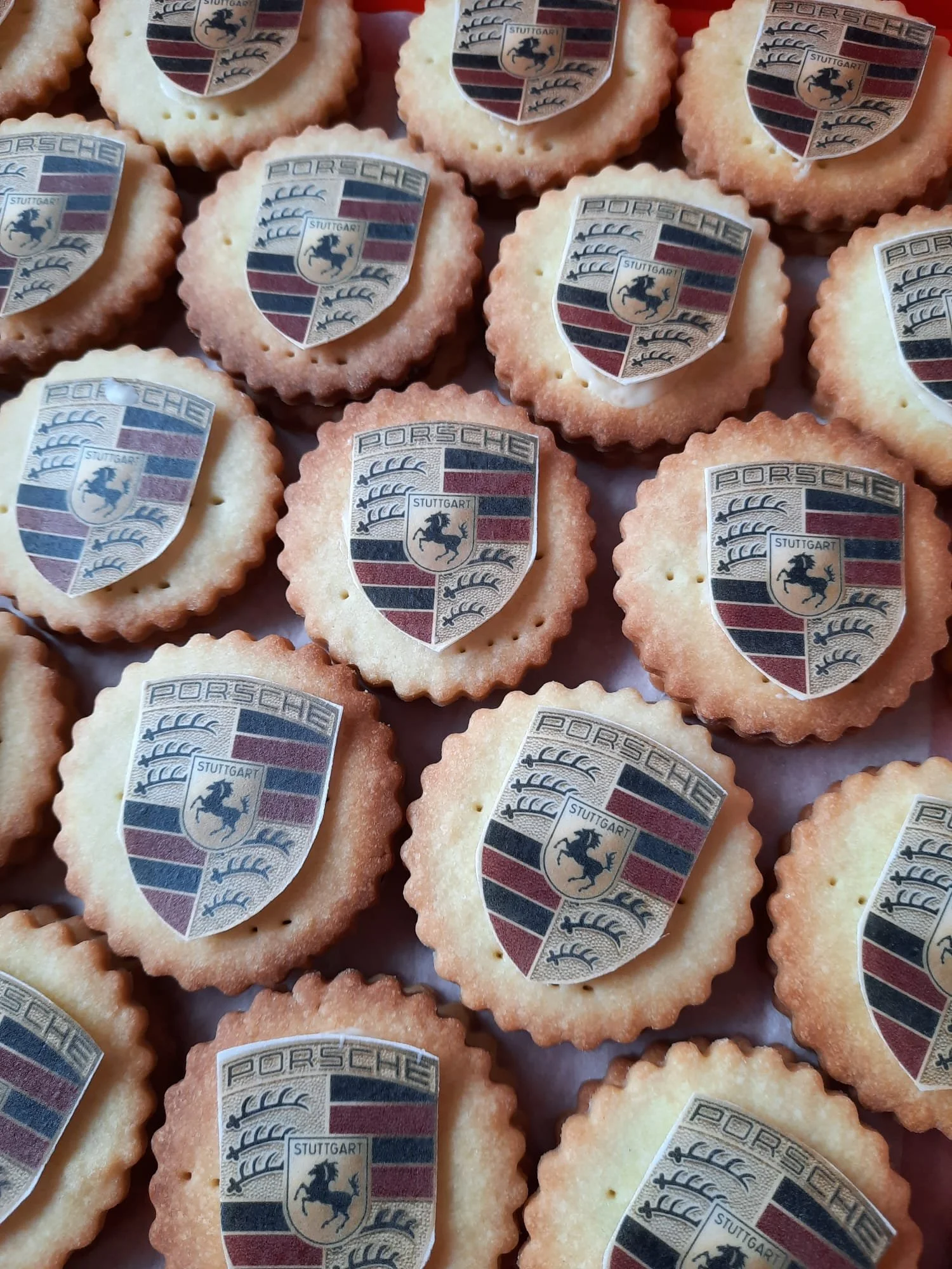 WhatsApp Image 2026-02-02 at 18.04.17.jpeg