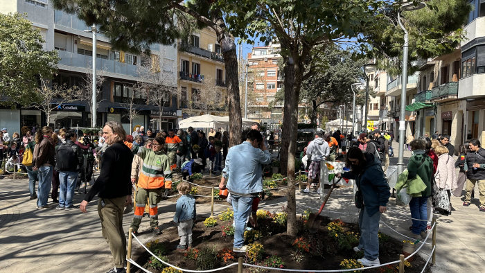 Nova plantació comunitària a la plaça Espanyola per avançar cap a una ciutat més verda (Aj. de L’Hospitalet)