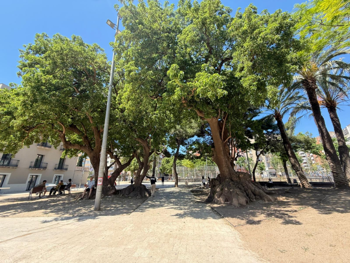 Enguany es climatitzaran 30 noves escoles amb el Pla Clima Escola Barcelona (Aj. de Barcelona)