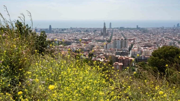 Es renaturalitzen quatre espais verds amb la subvenció dels fons FEDER (Aj. Barcelona)