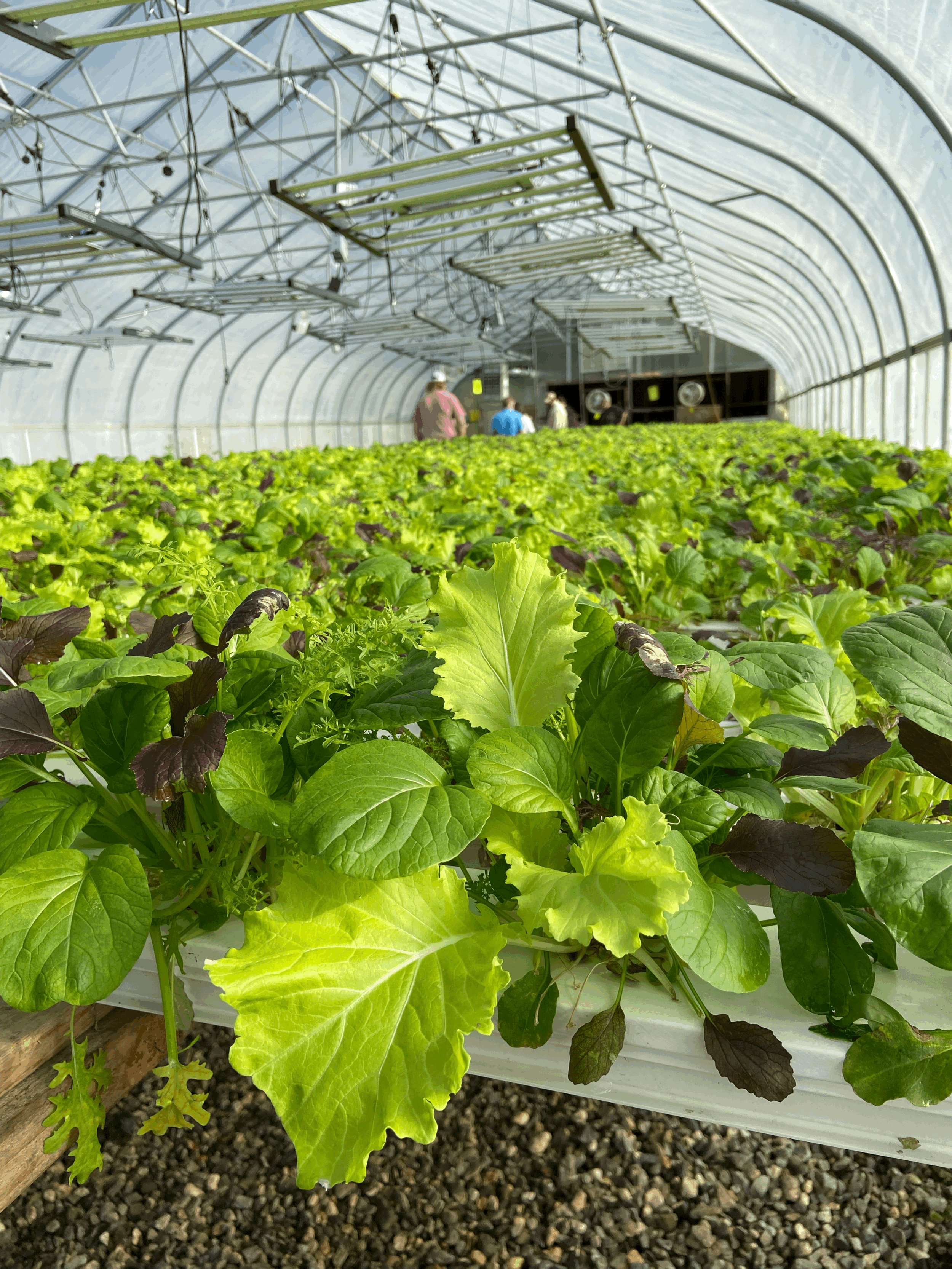 Best Practices for Social Media Posting