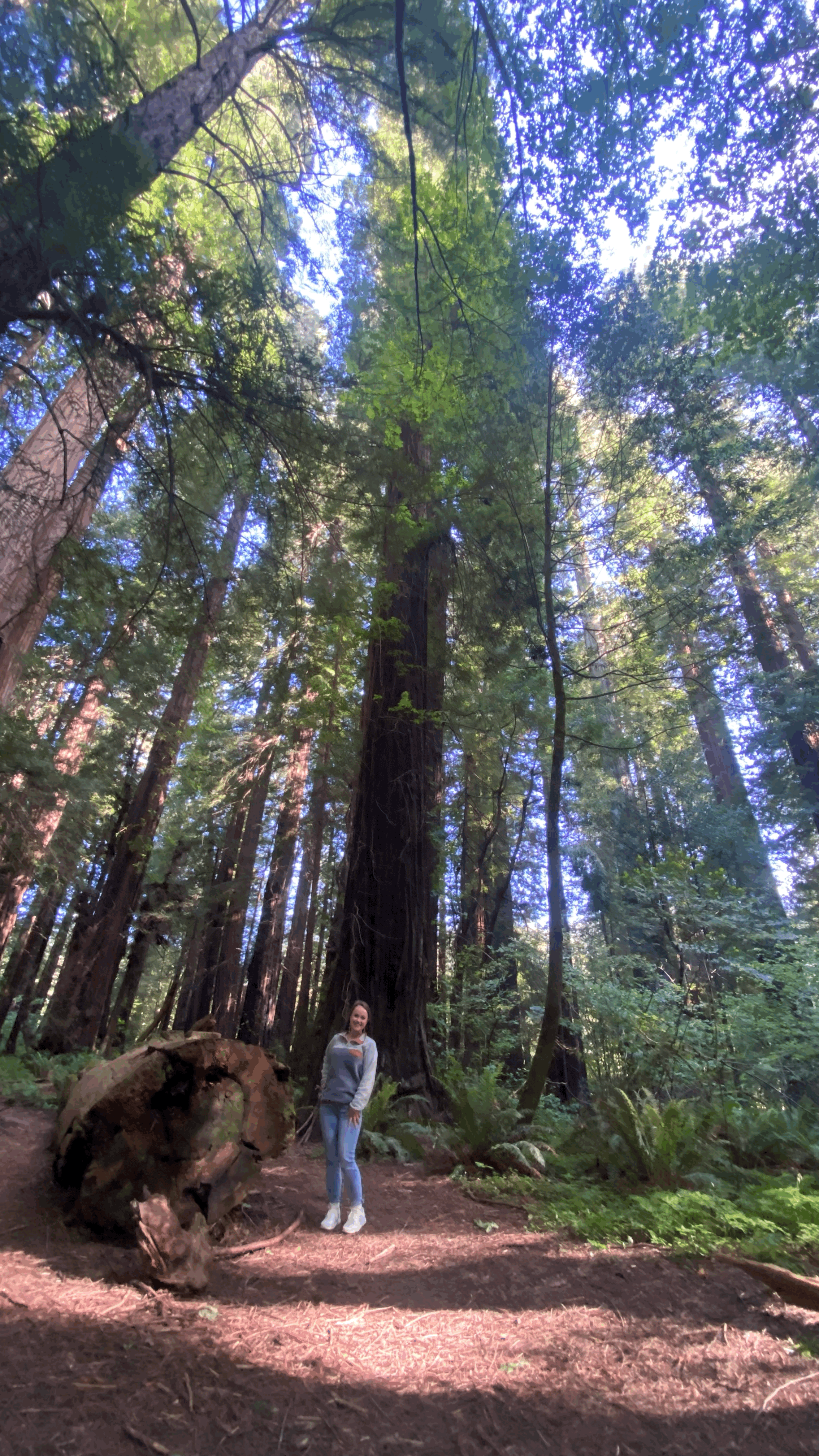 How to Boost Engagement in Your Newsletter (Without Overcomplicating It)