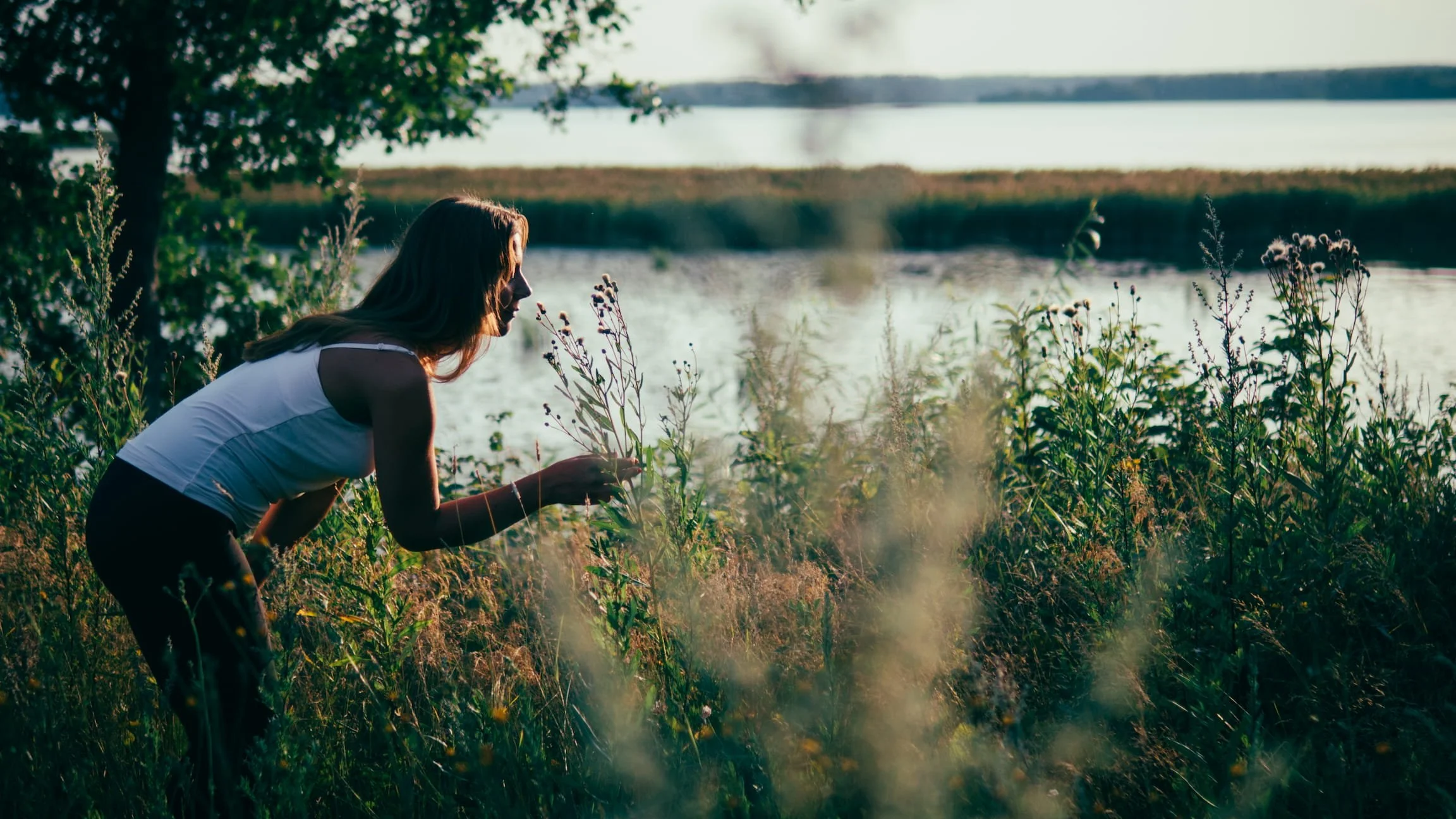 Wellness coach among wildflowers
