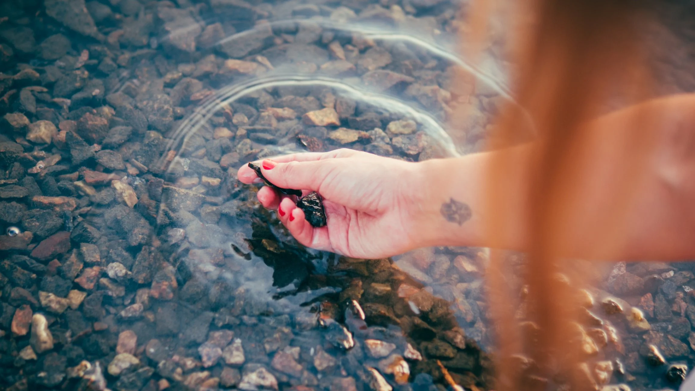 Close-up of hand holding stones in water