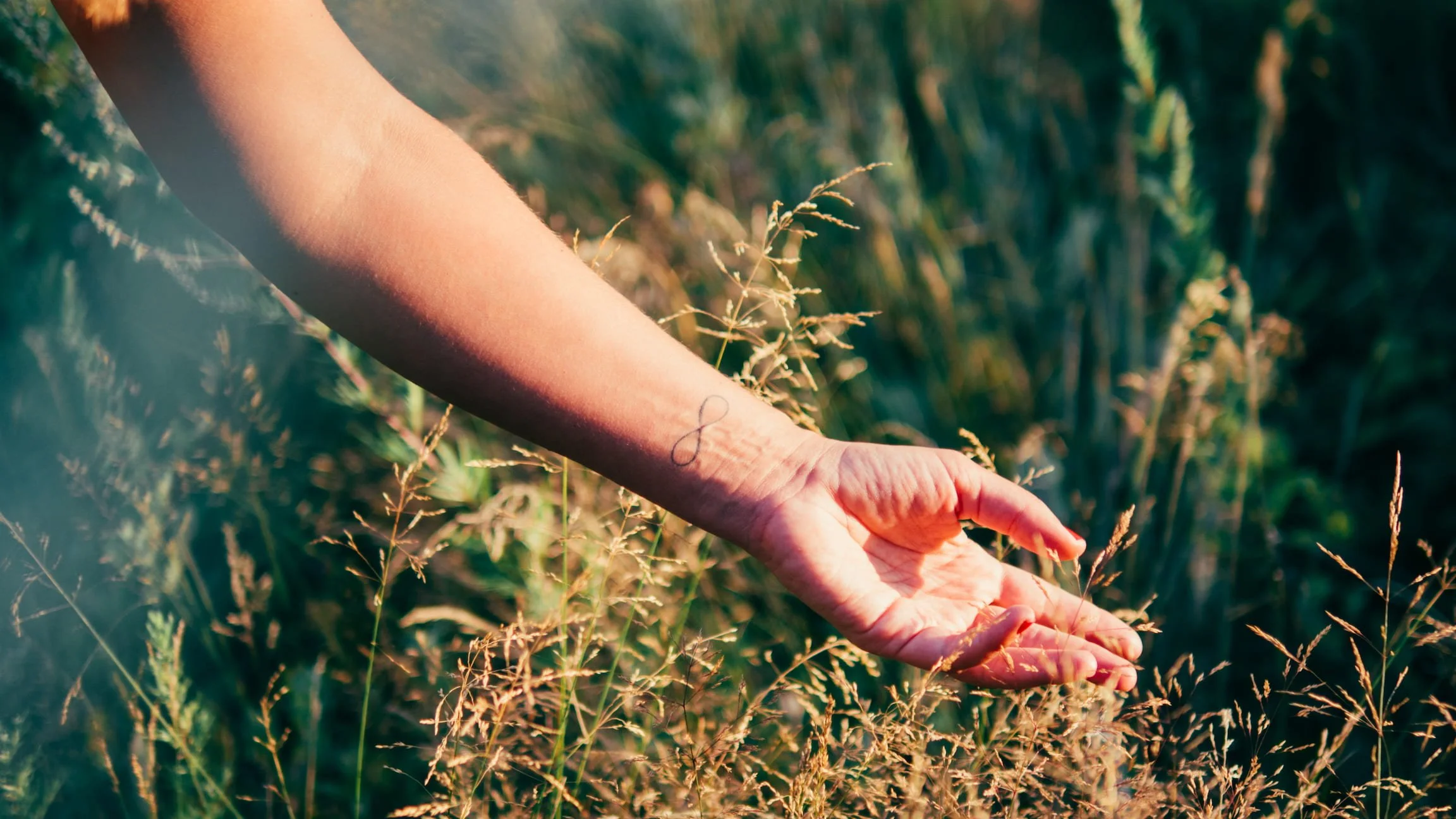 Hand touching grass in summer nature