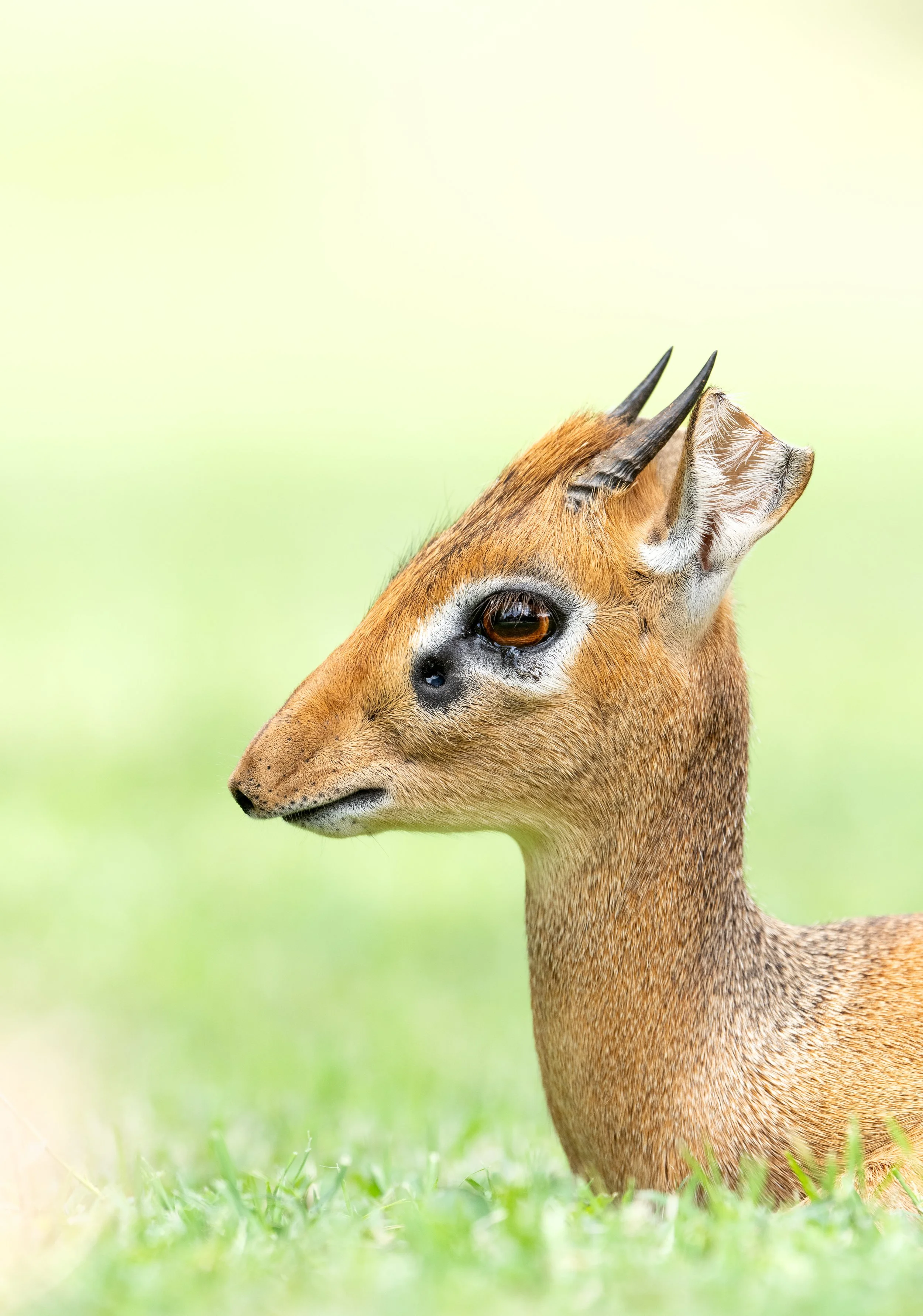 2_15 Drive 1a3174.jpg