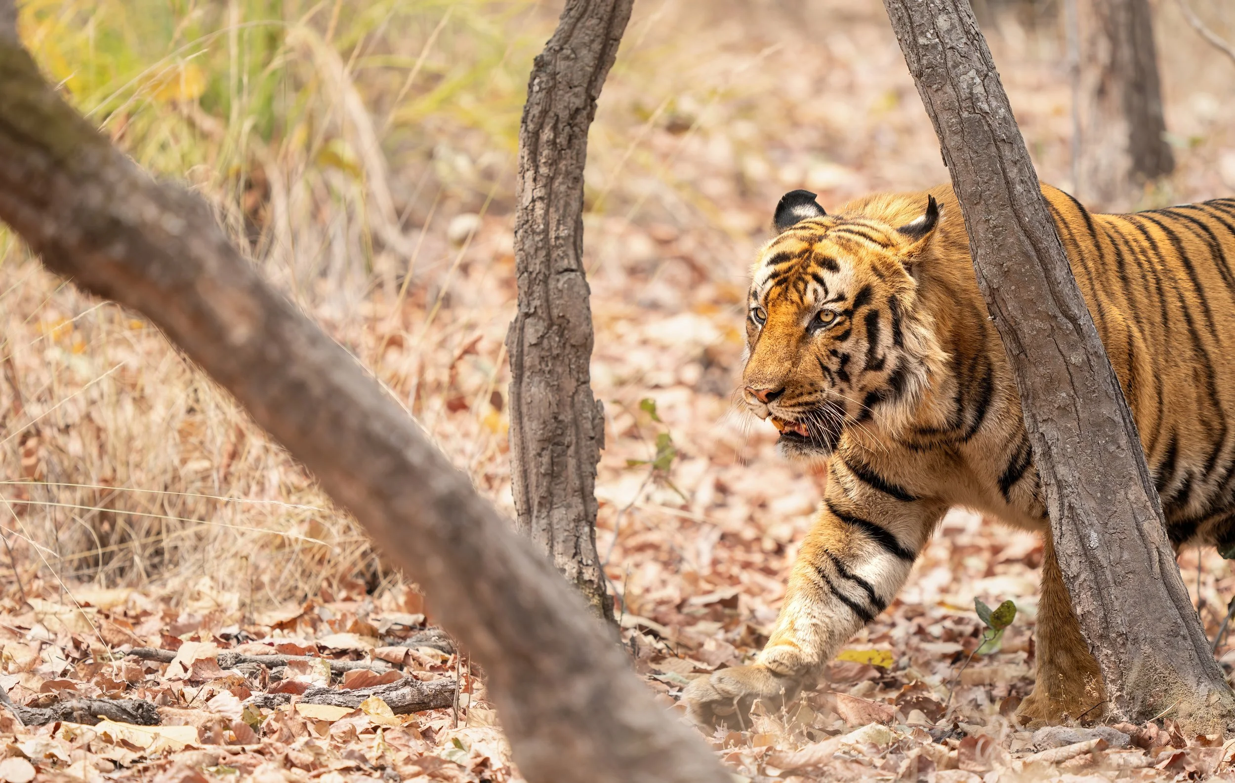 PS FINALDSC00320-topaz-denoise-sharpen.jpg