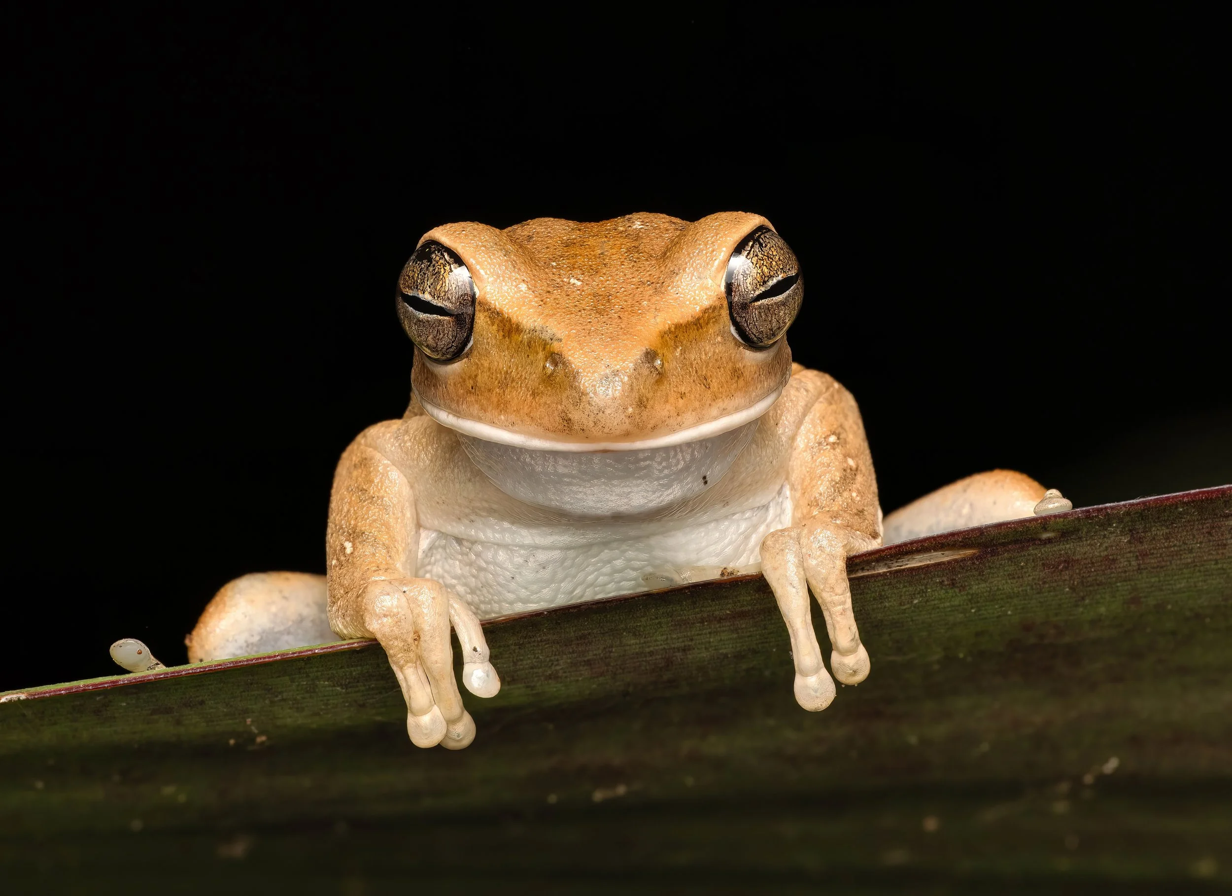 FINAL2025-08-25 08-24-57 (B,R8,S4)-2-topaz-denoise-sharpen.jpg