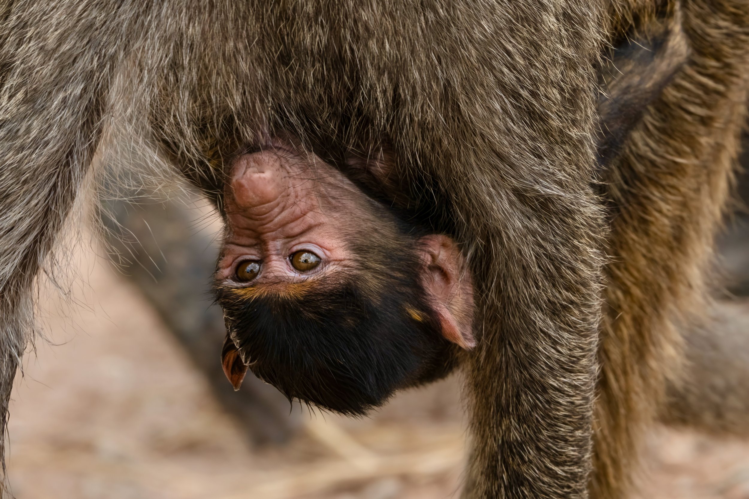 FINAL2_15 Drive 1a2511-topaz-denoise.jpg