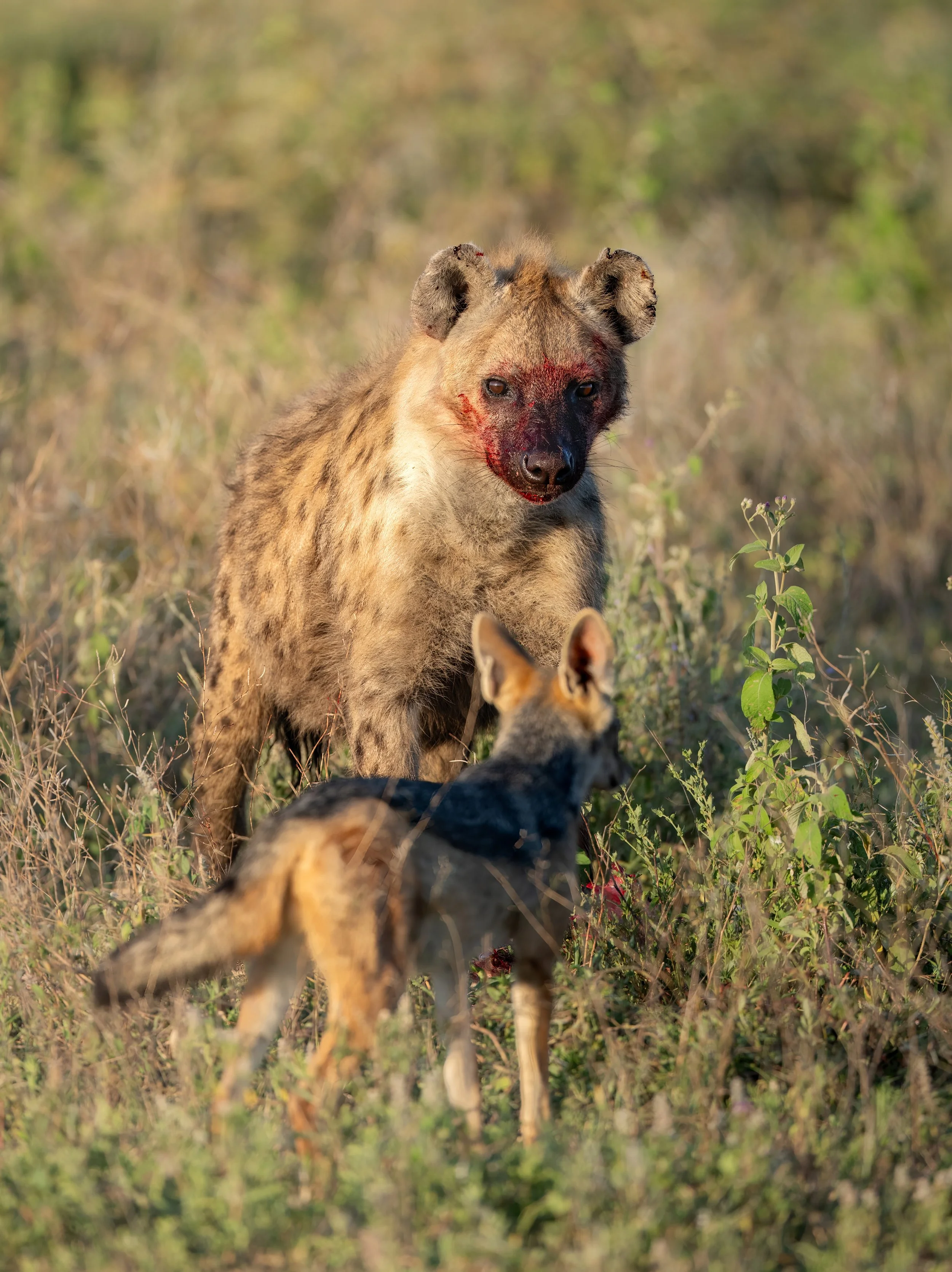 FINALPS FINAL 2_19 Drive 11441-topaz-denoise-sharpen.jpg