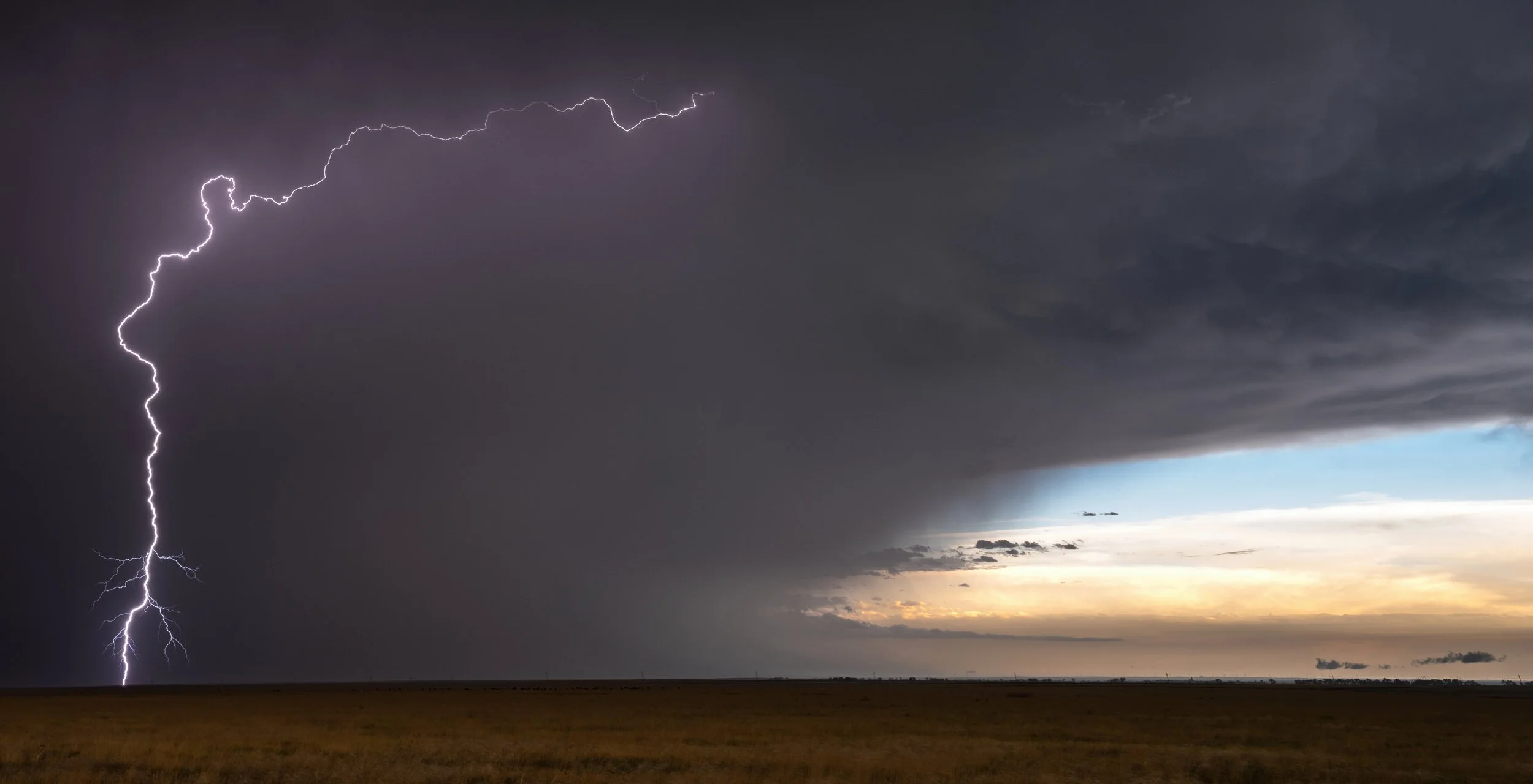 DSC08664-2 FINAL 2.jpg