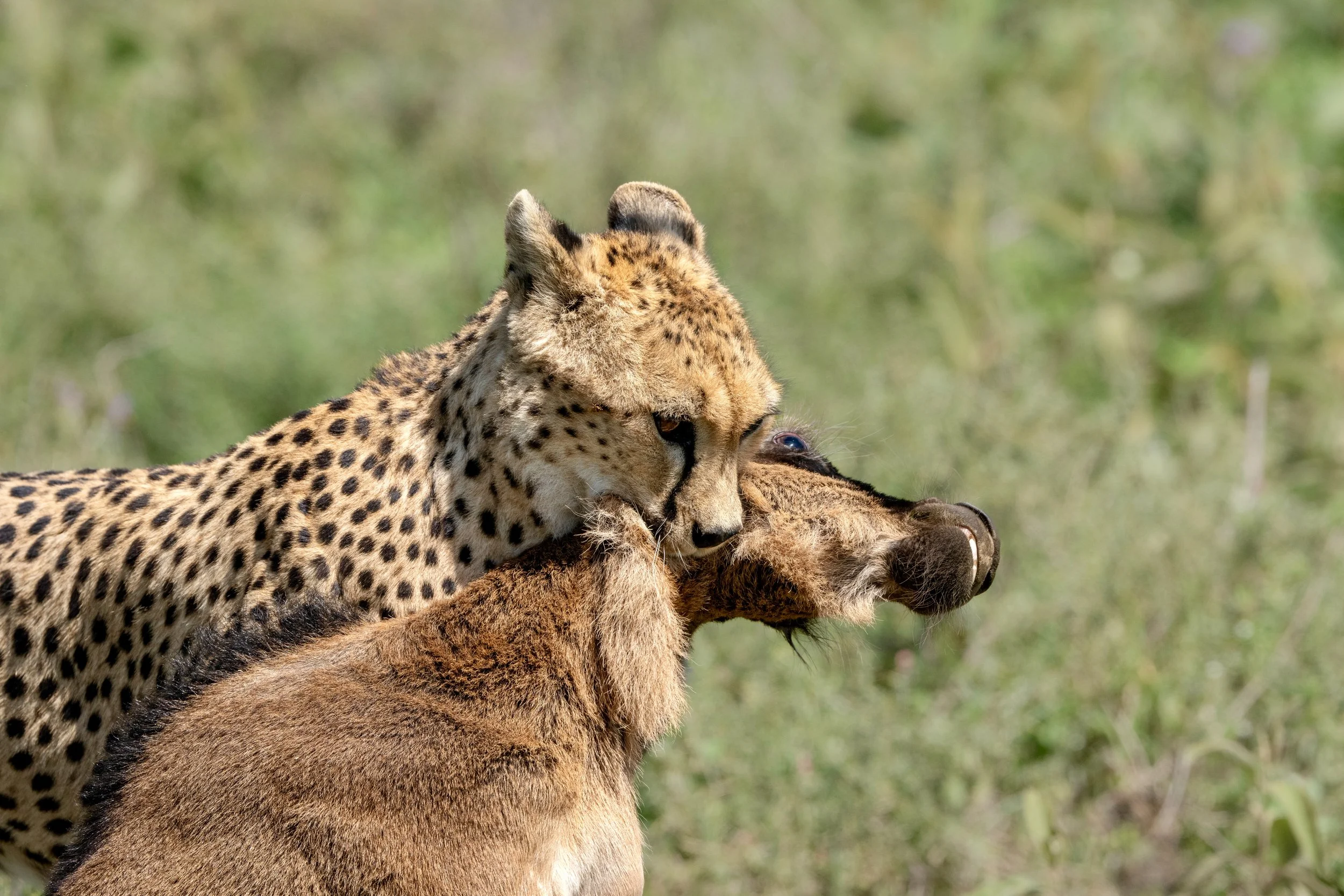 2_20 Drive 1845-2.jpg