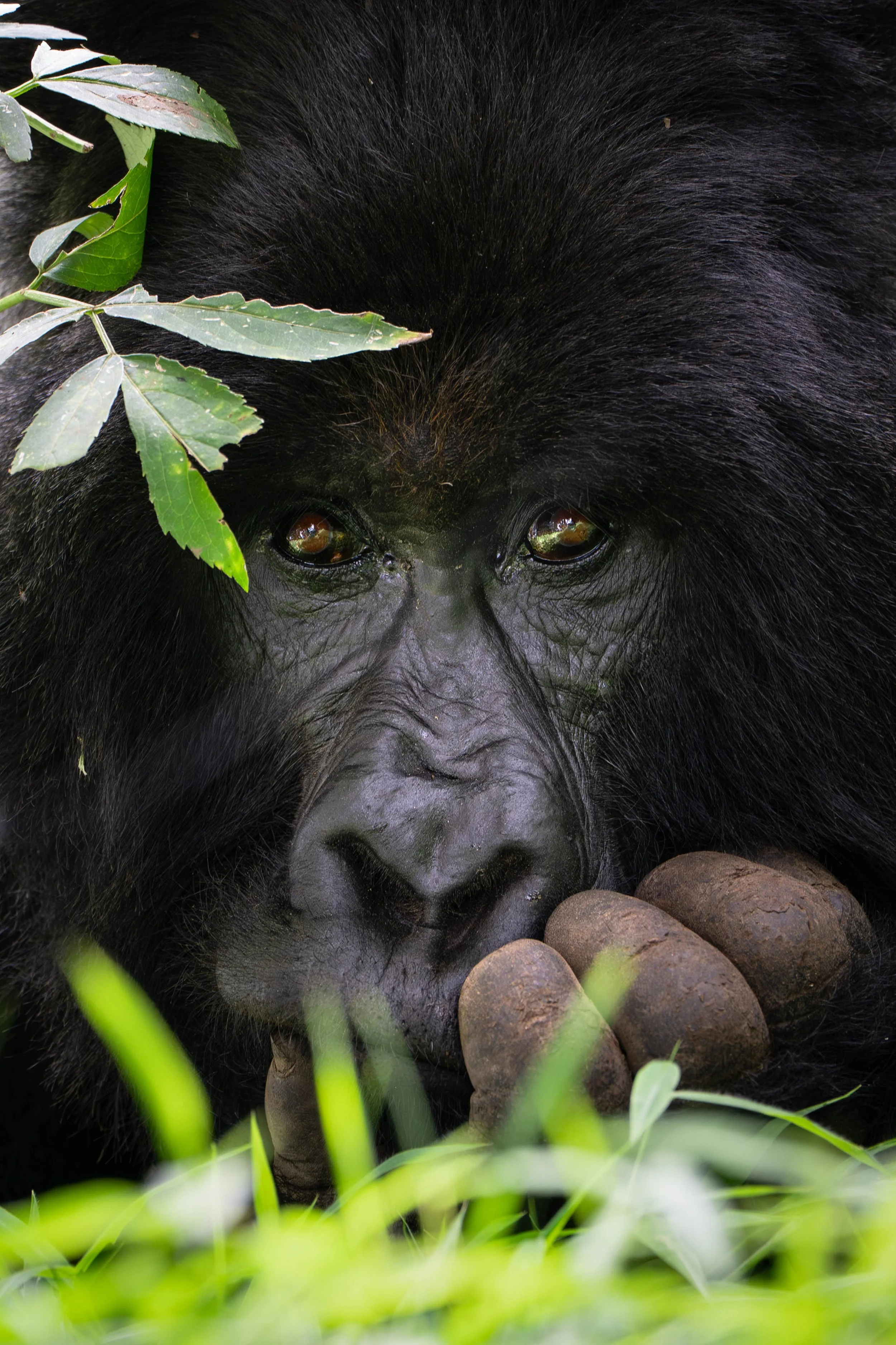 DSC04188-2 copy-2.jpg