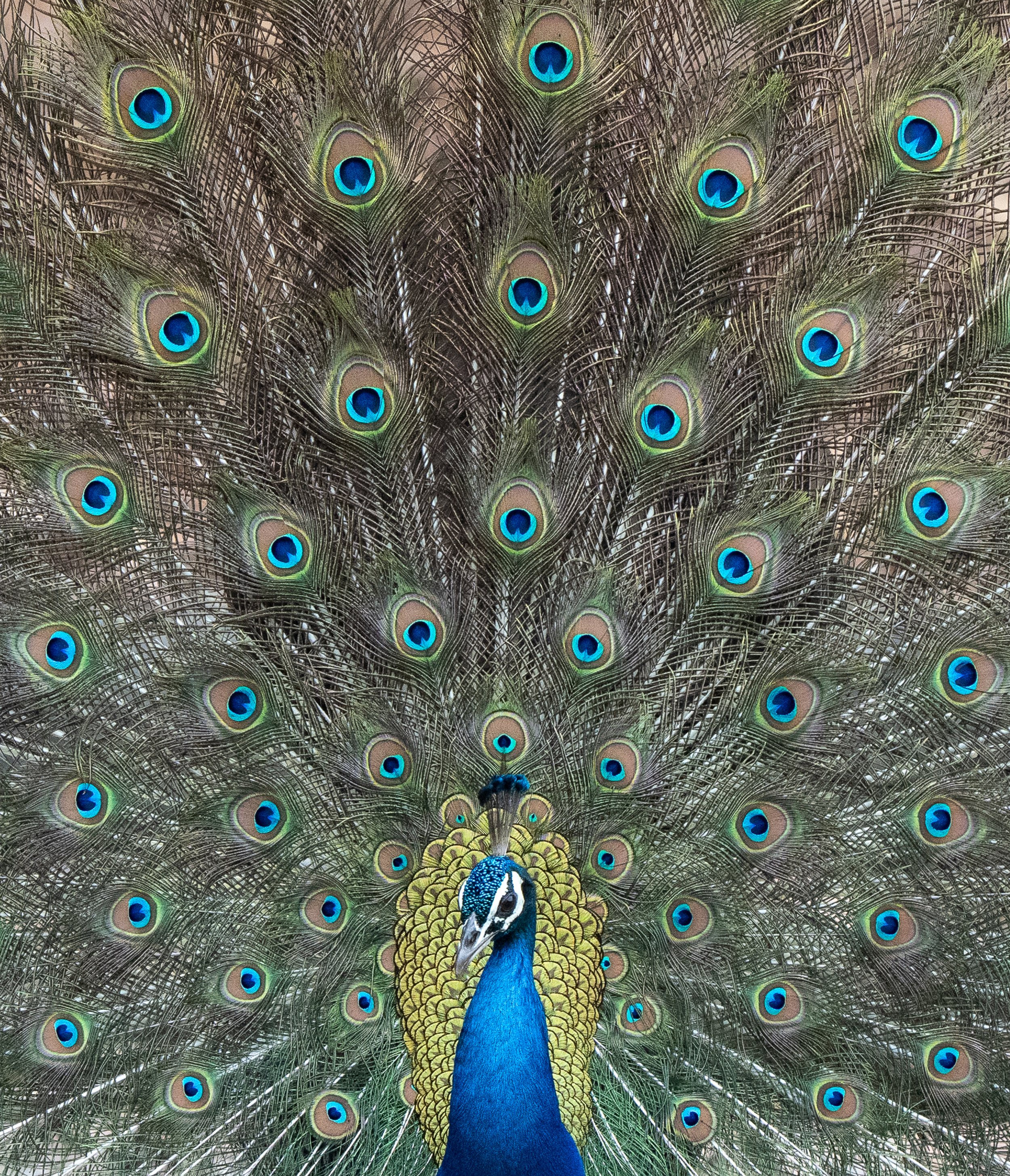 DSC06083 PS Final 2.jpg