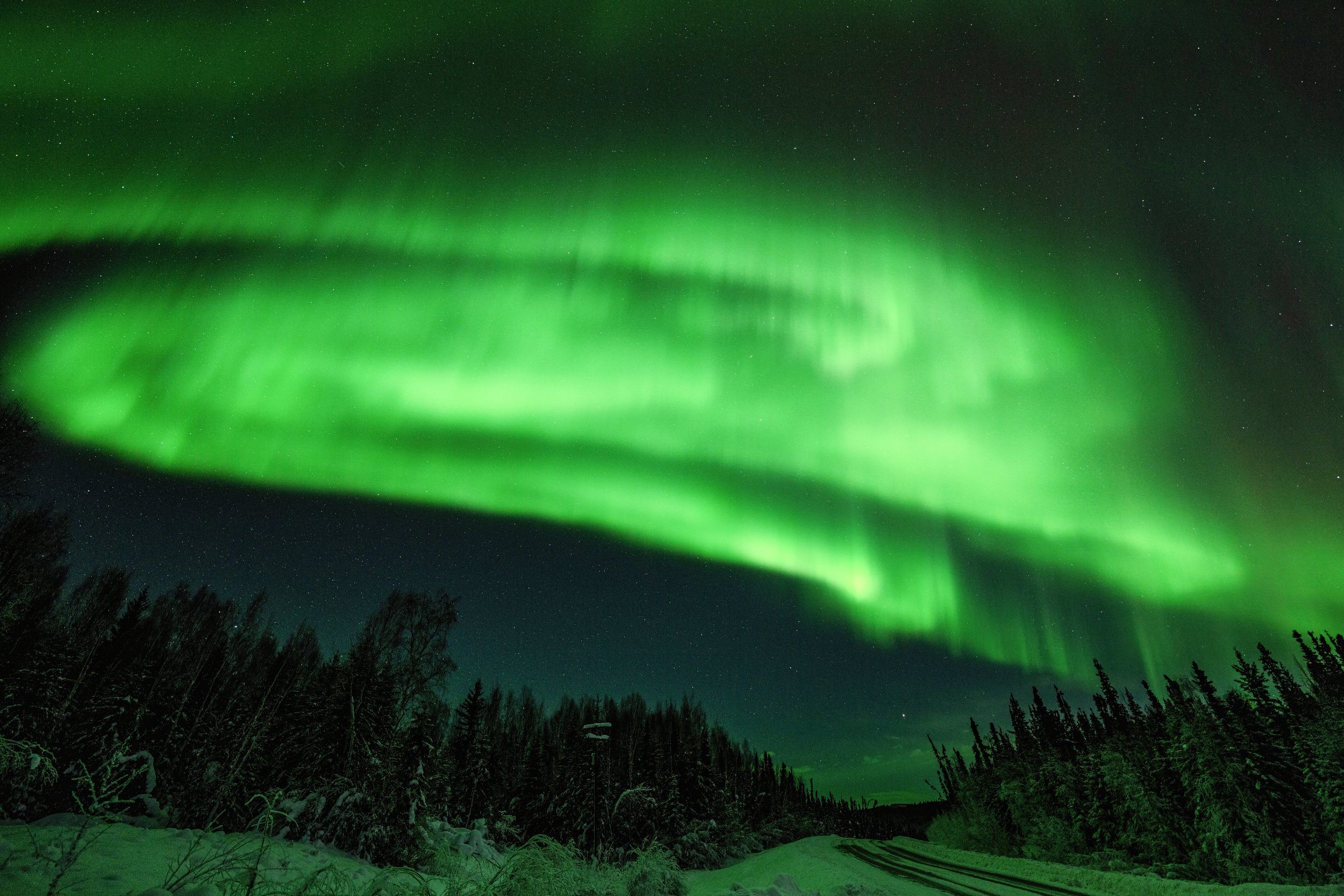 DSC00141-Edit 3-SharpenAI-Motion-2.jpg