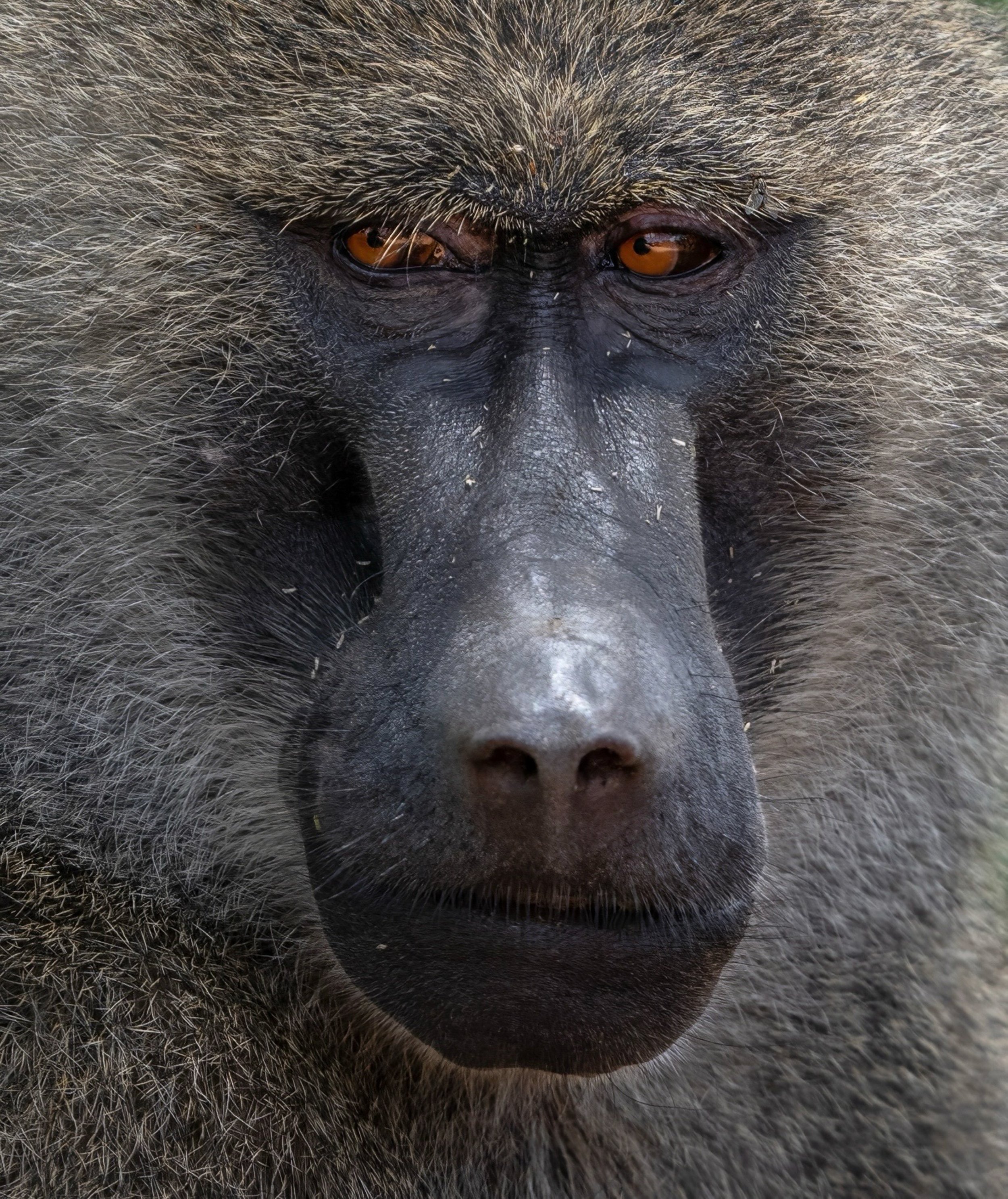 FINAL2_14 Drive 1a2054 pre T-topaz-denoise.jpg