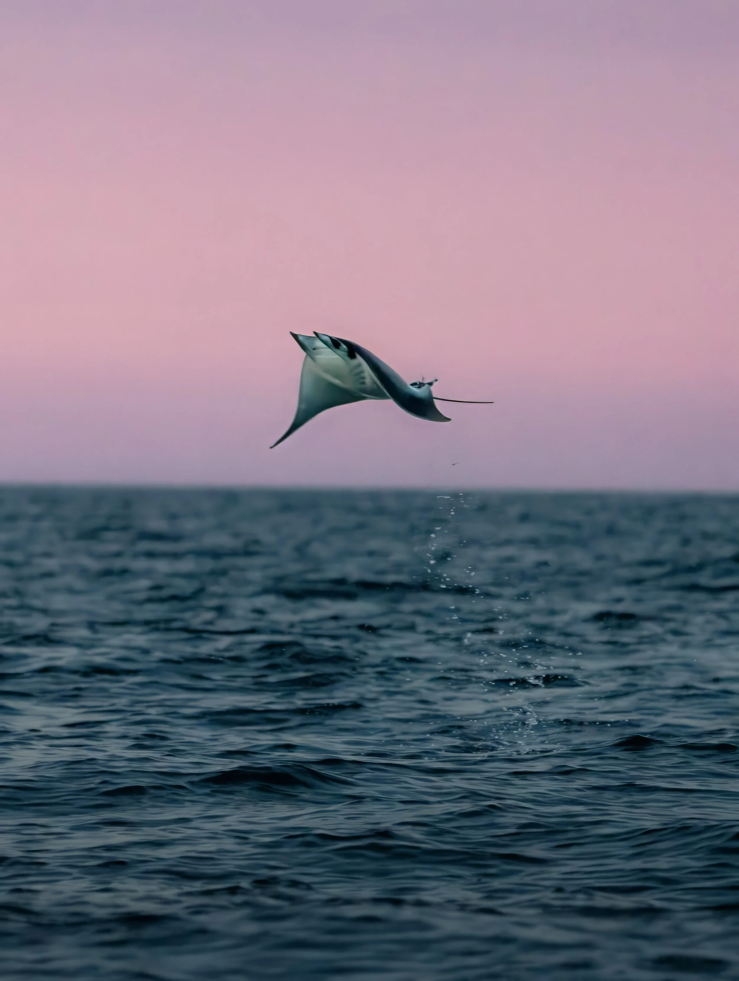 DSC05353 edit-topaz-denoise.jpg