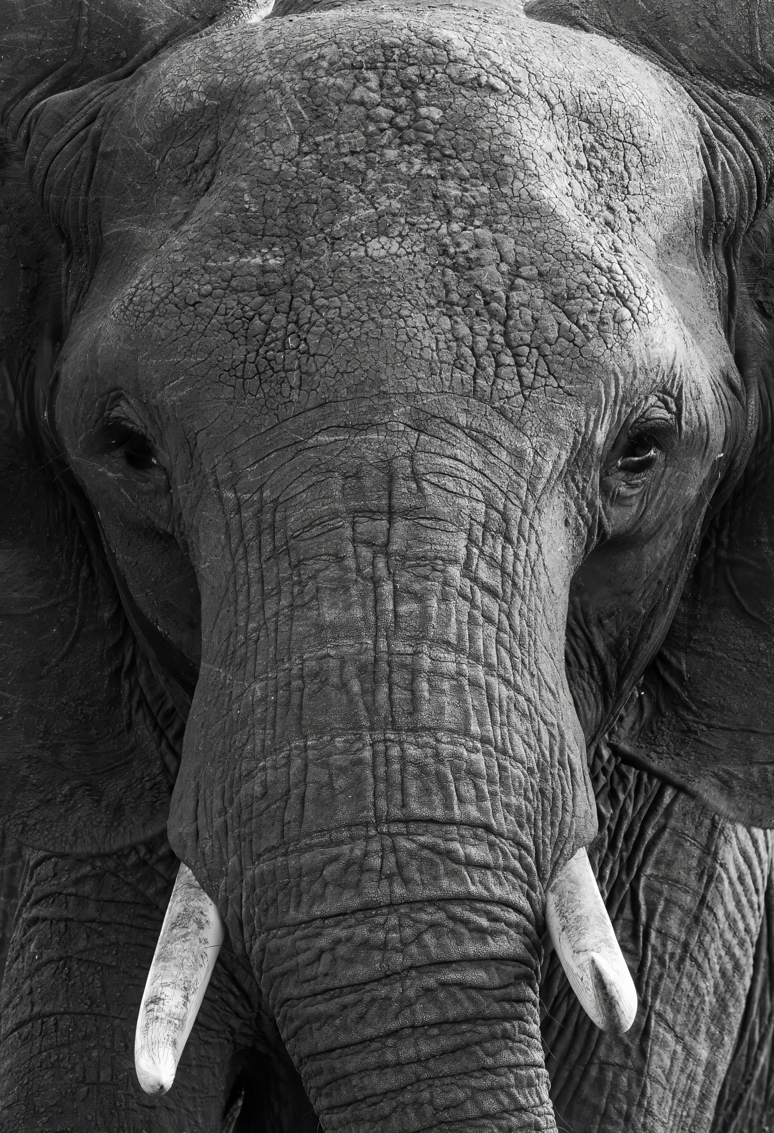 FINAL2_15 Drive 1a872-topaz-denoise.jpg