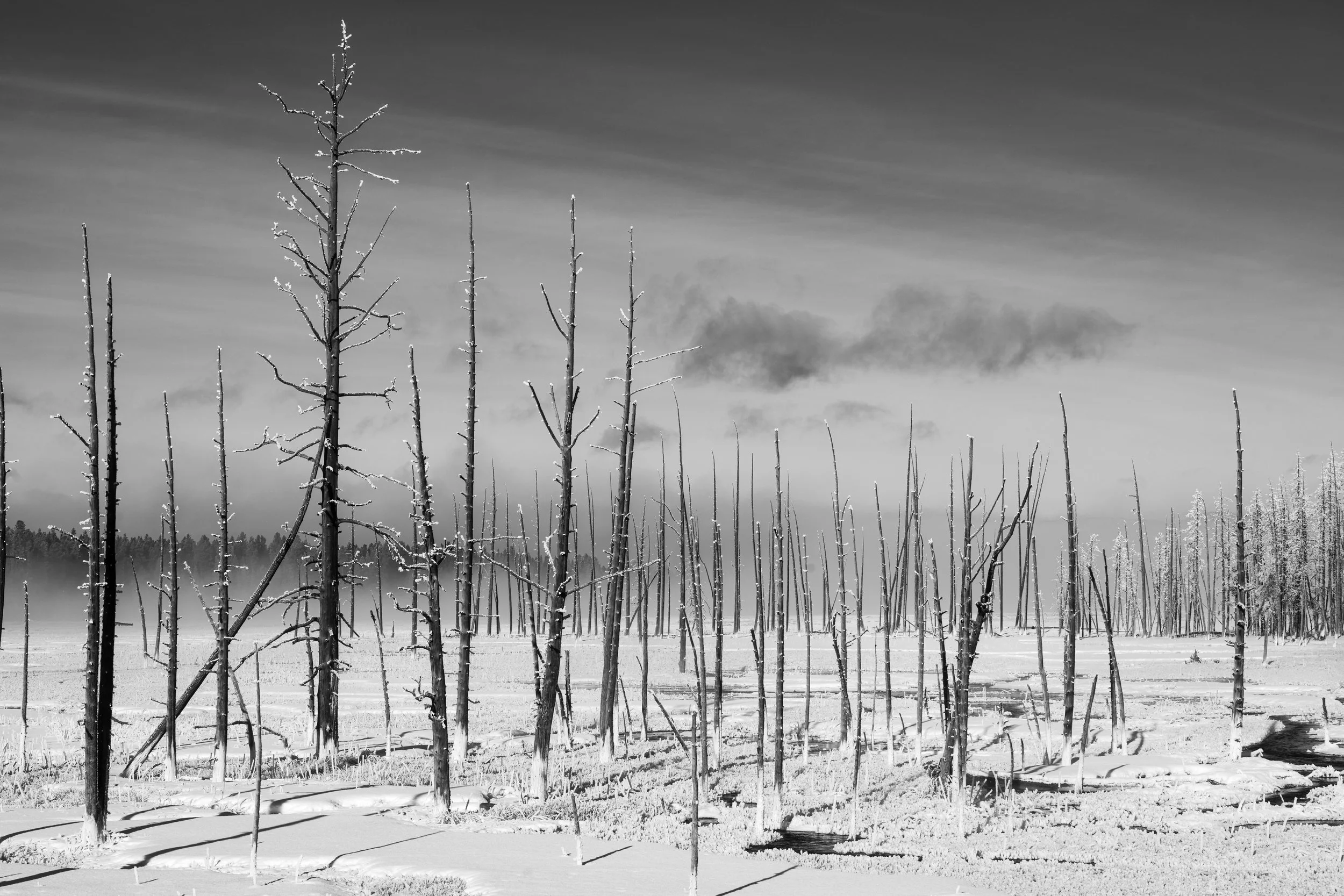 DSC04282-2-2. FINAL.jpeg