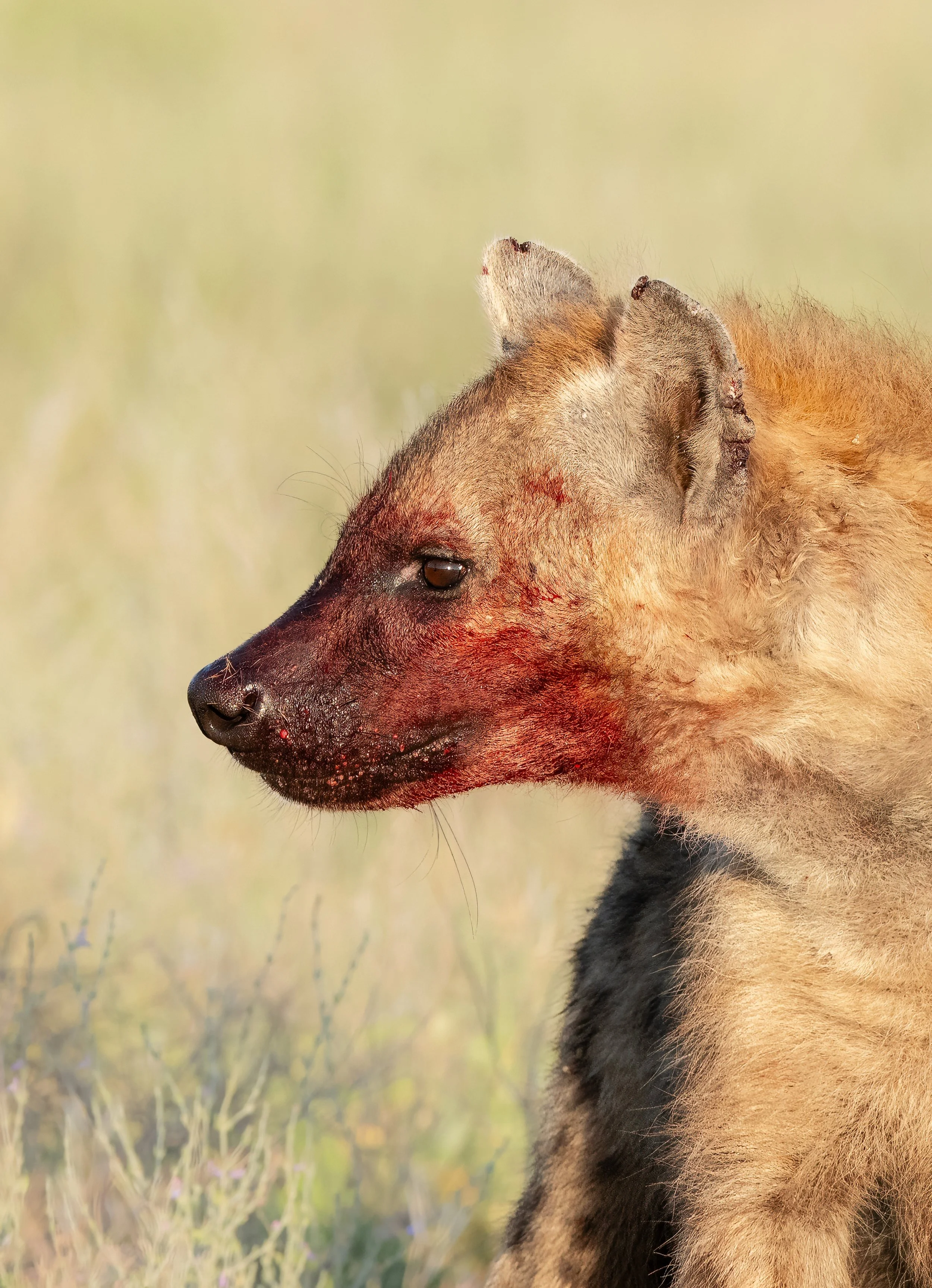 FINAL2_19 Drive 11766-topaz-denoise-sharpen.jpg