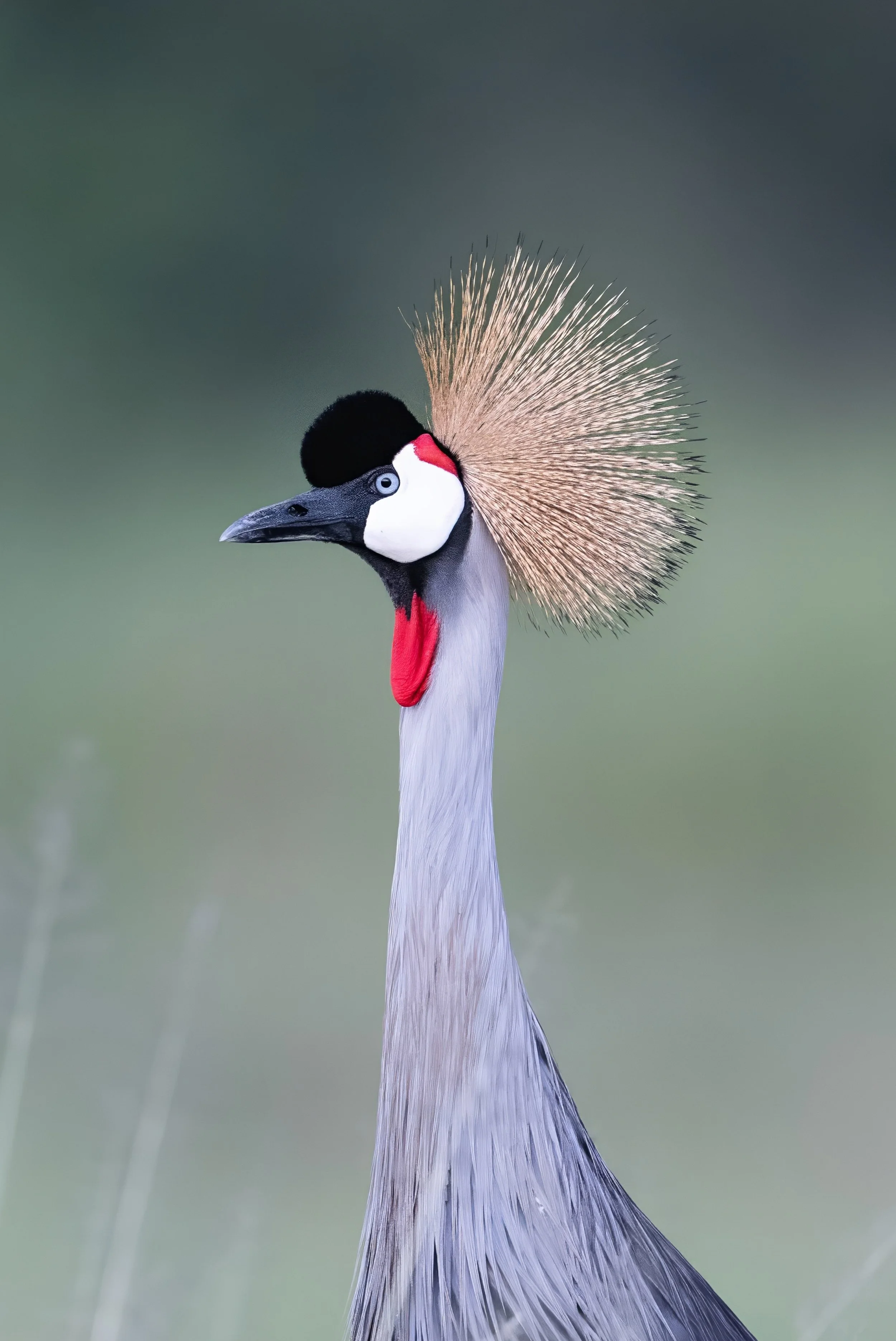 FINAL2_15 Drive 1a244-topaz-denoise.jpg