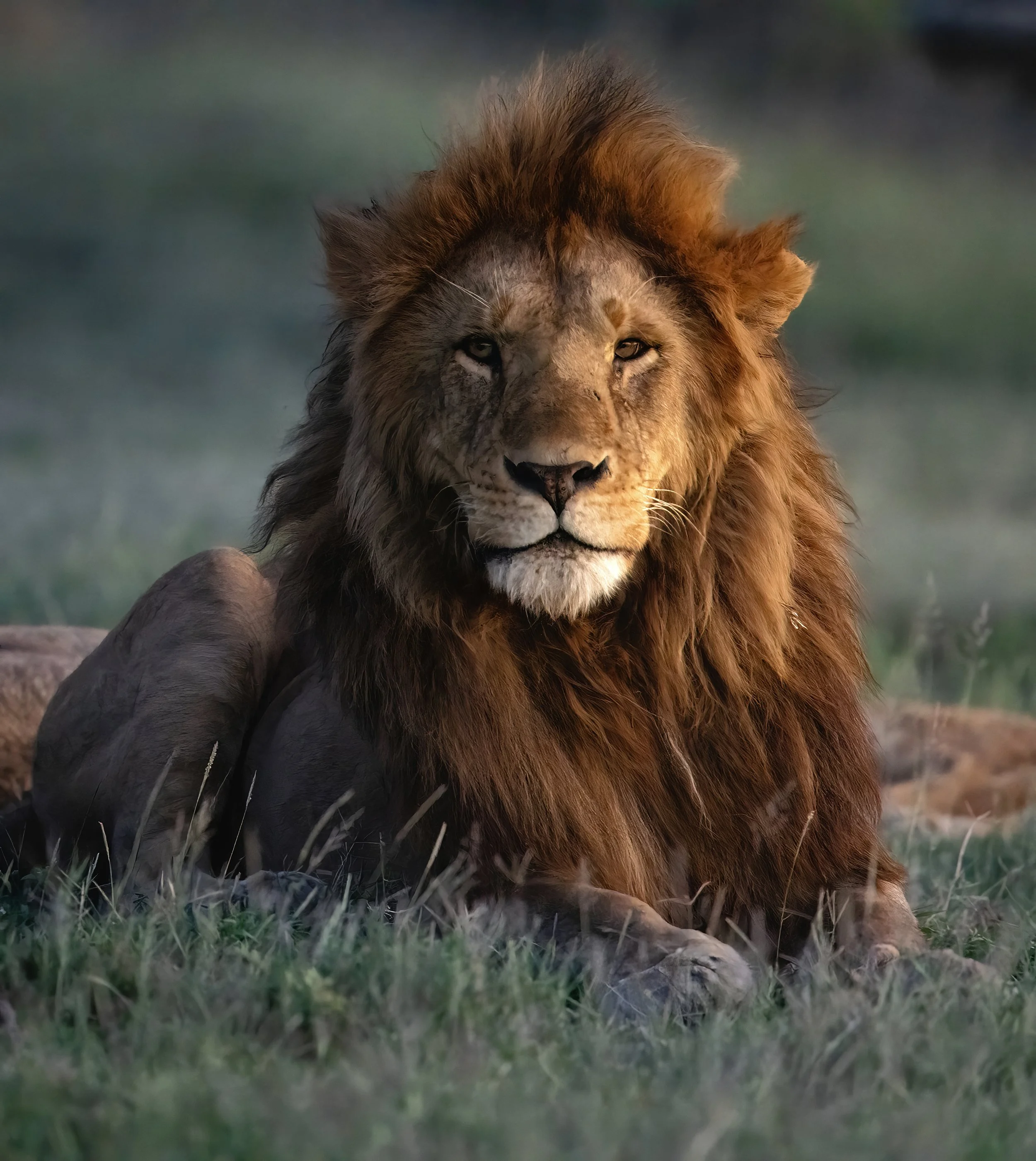 PS FINALDSC08455-topaz-denoise-sharpen.jpg