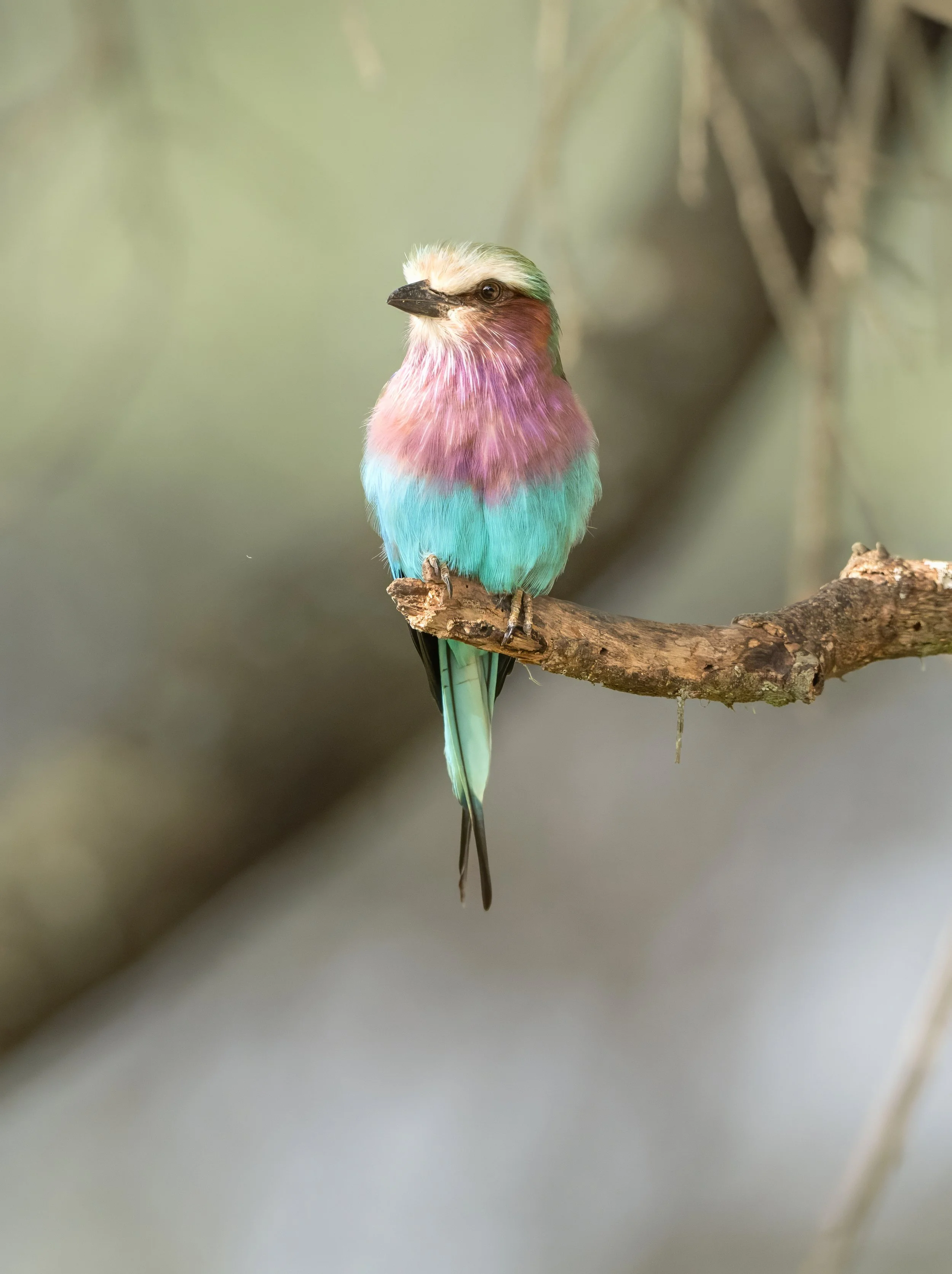 FINAL2_15 Drive 1a2087-topaz-denoise-sharpen.jpg