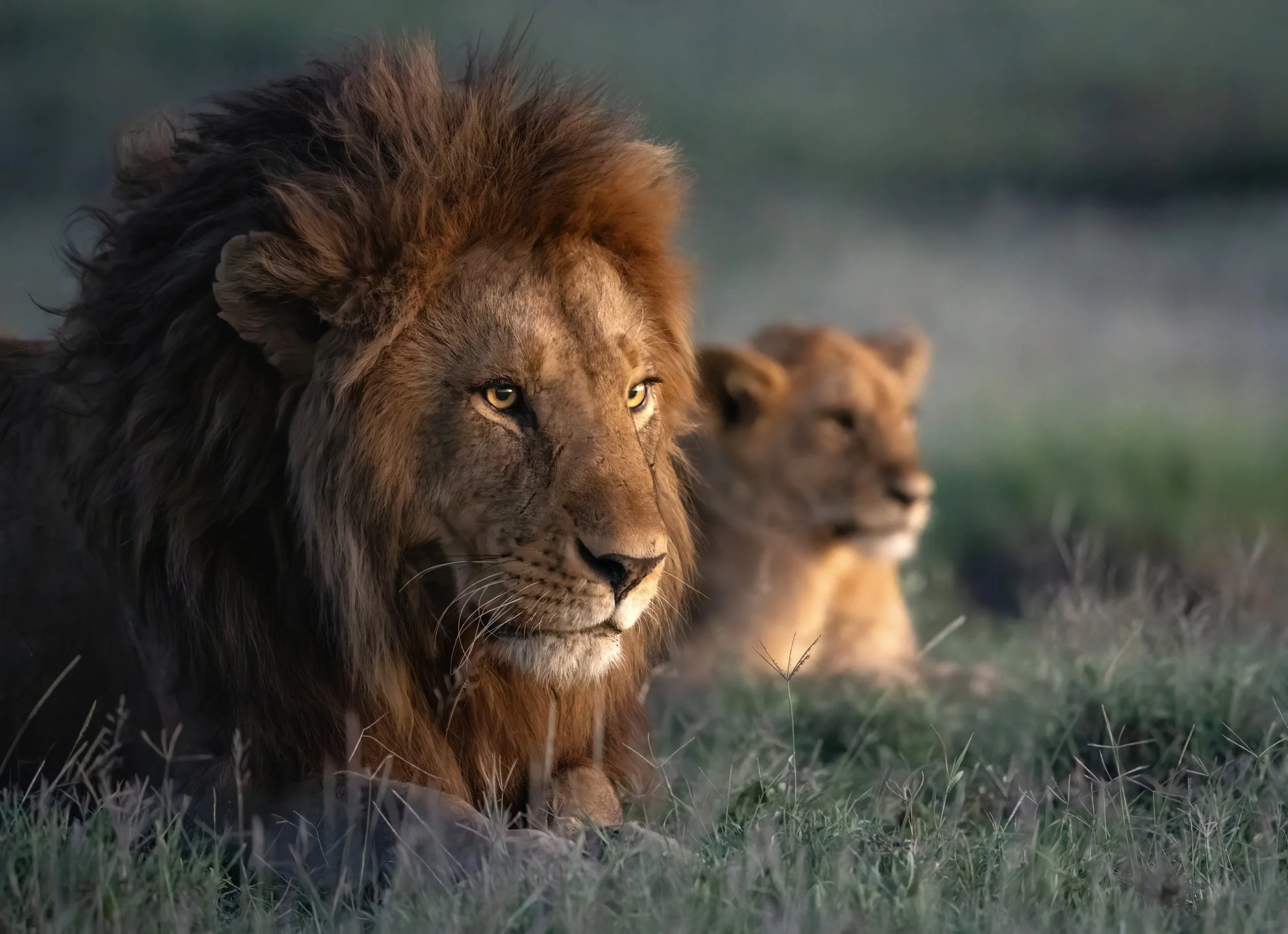 PS FINALDSC08670-topaz-denoise-sharpen-2.jpg