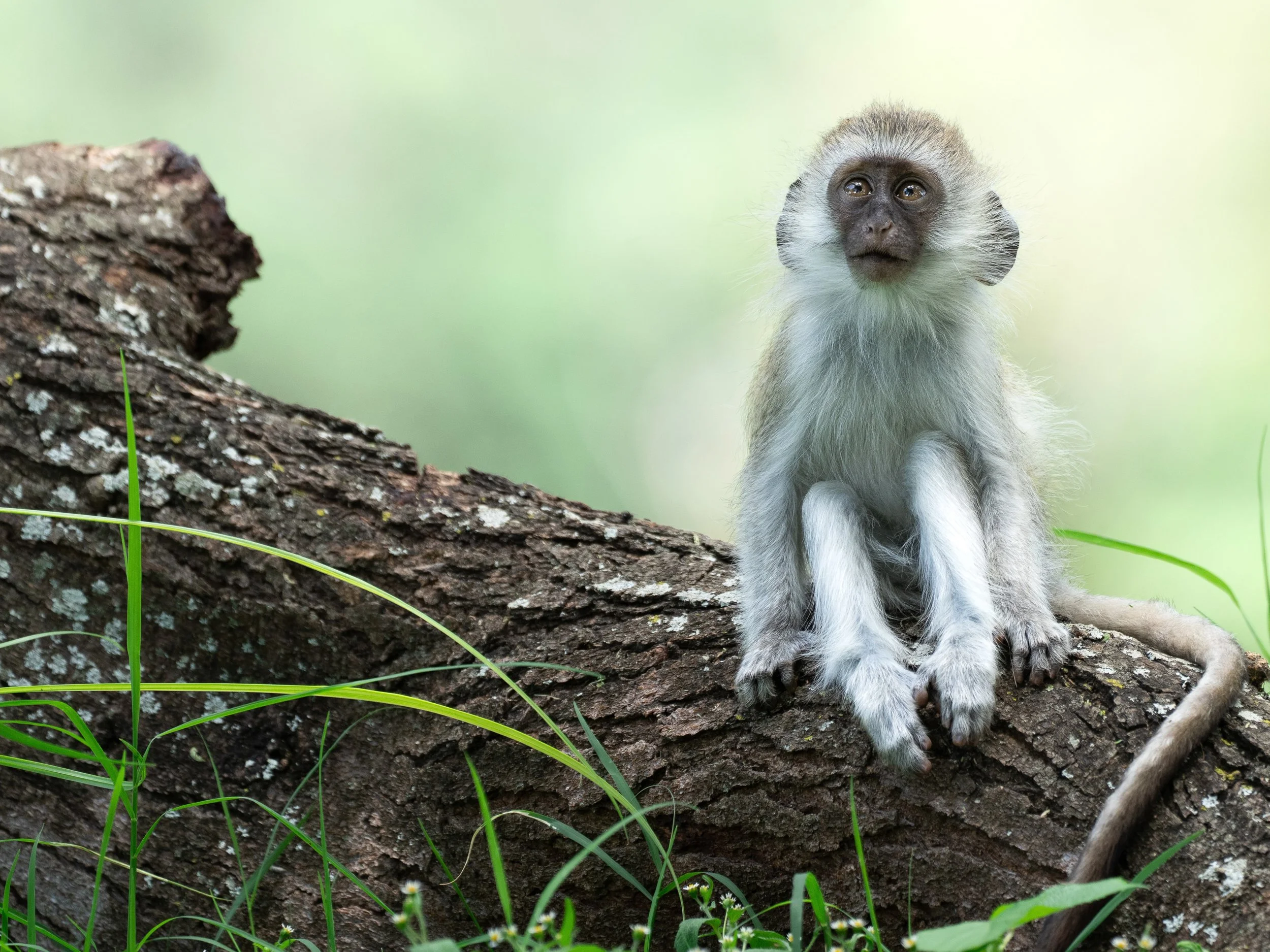 2_14 Drive 1a1130-2.jpg