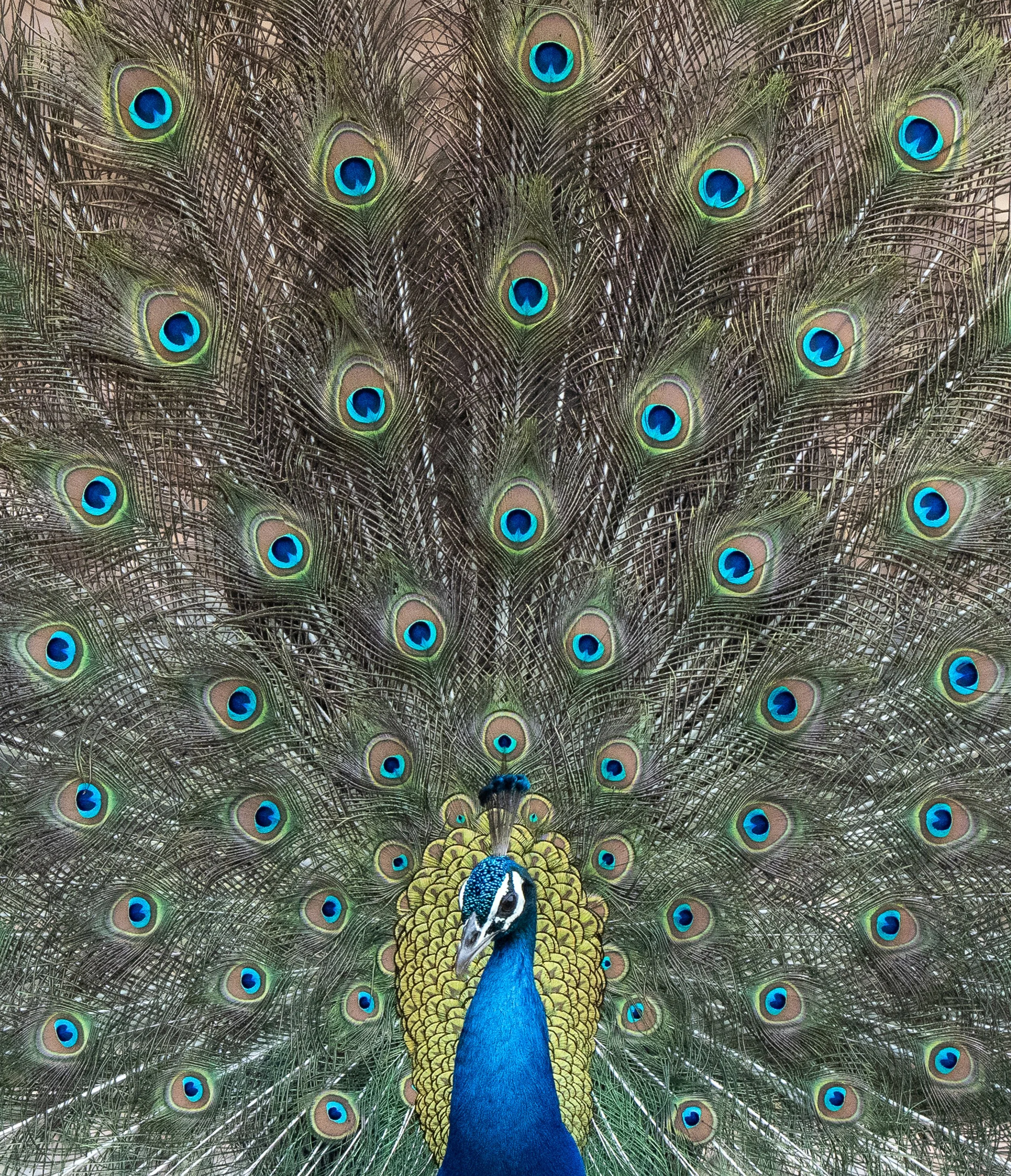 DSC06083 PS Final.jpg