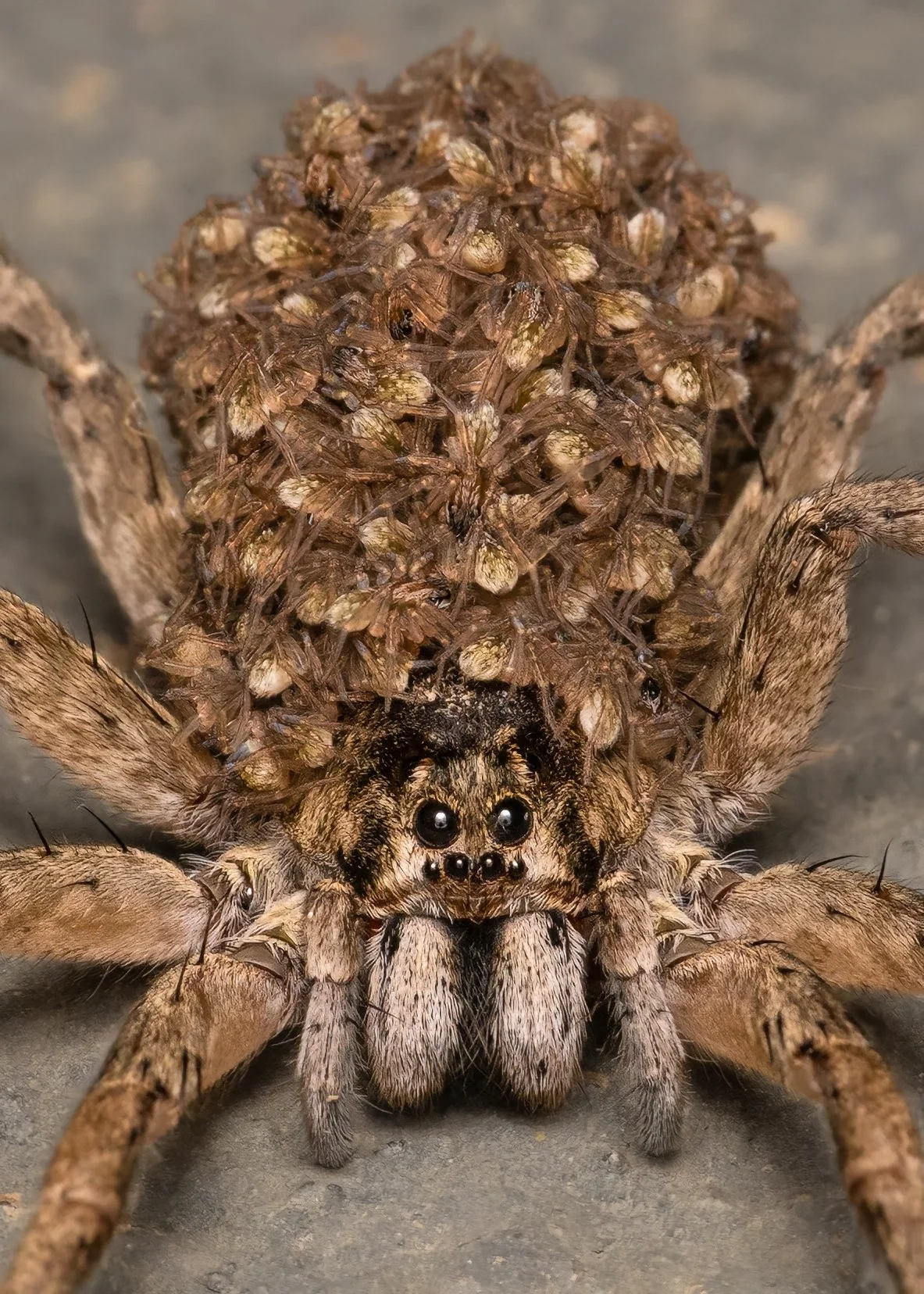 FINAL2025-09-06 13-24-37 (B,R8,S4)-2-2-topaz-denoise-sharpen.jpeg