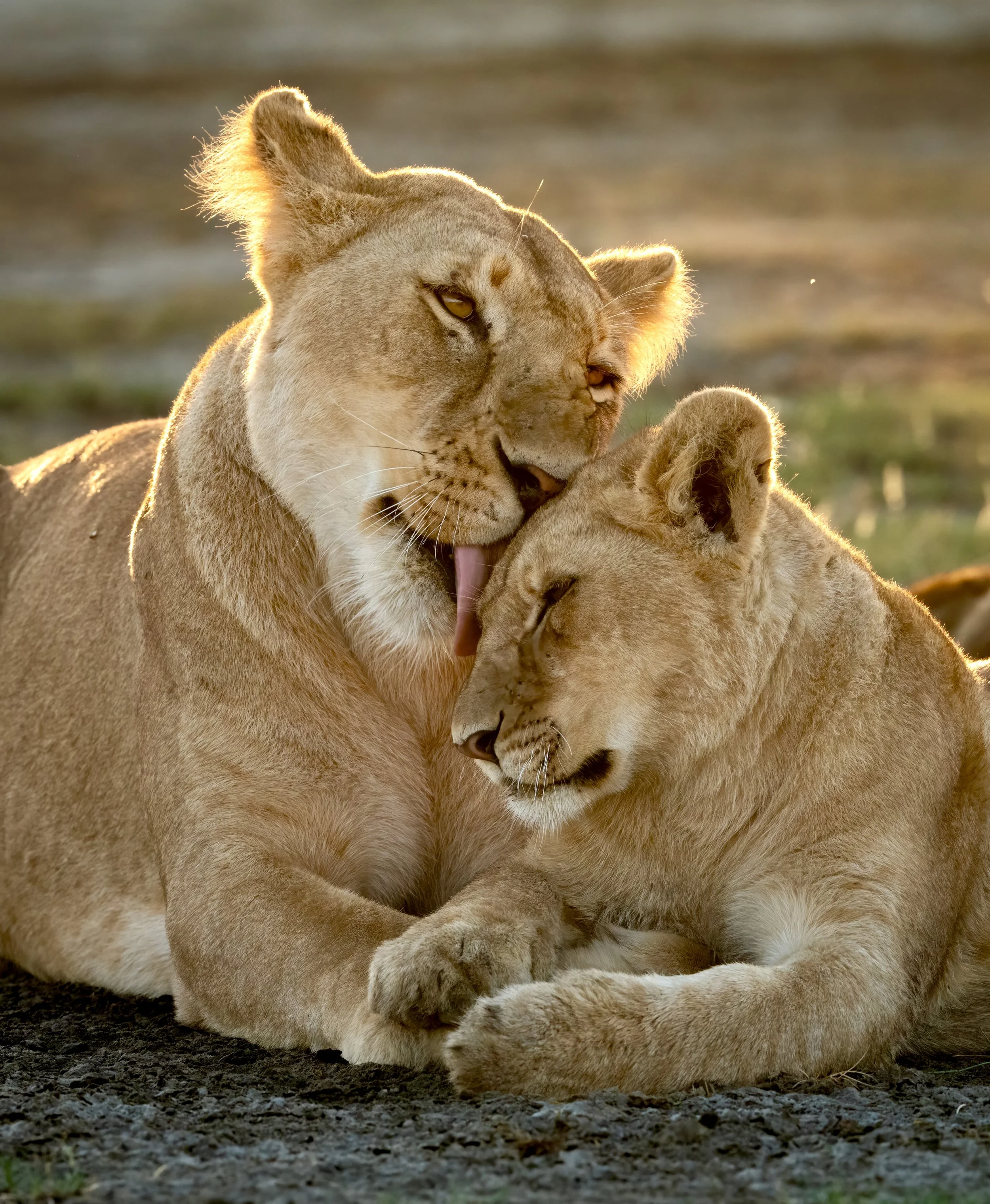 FINAL2_18 Drive 11087-topaz-denoise.jpg