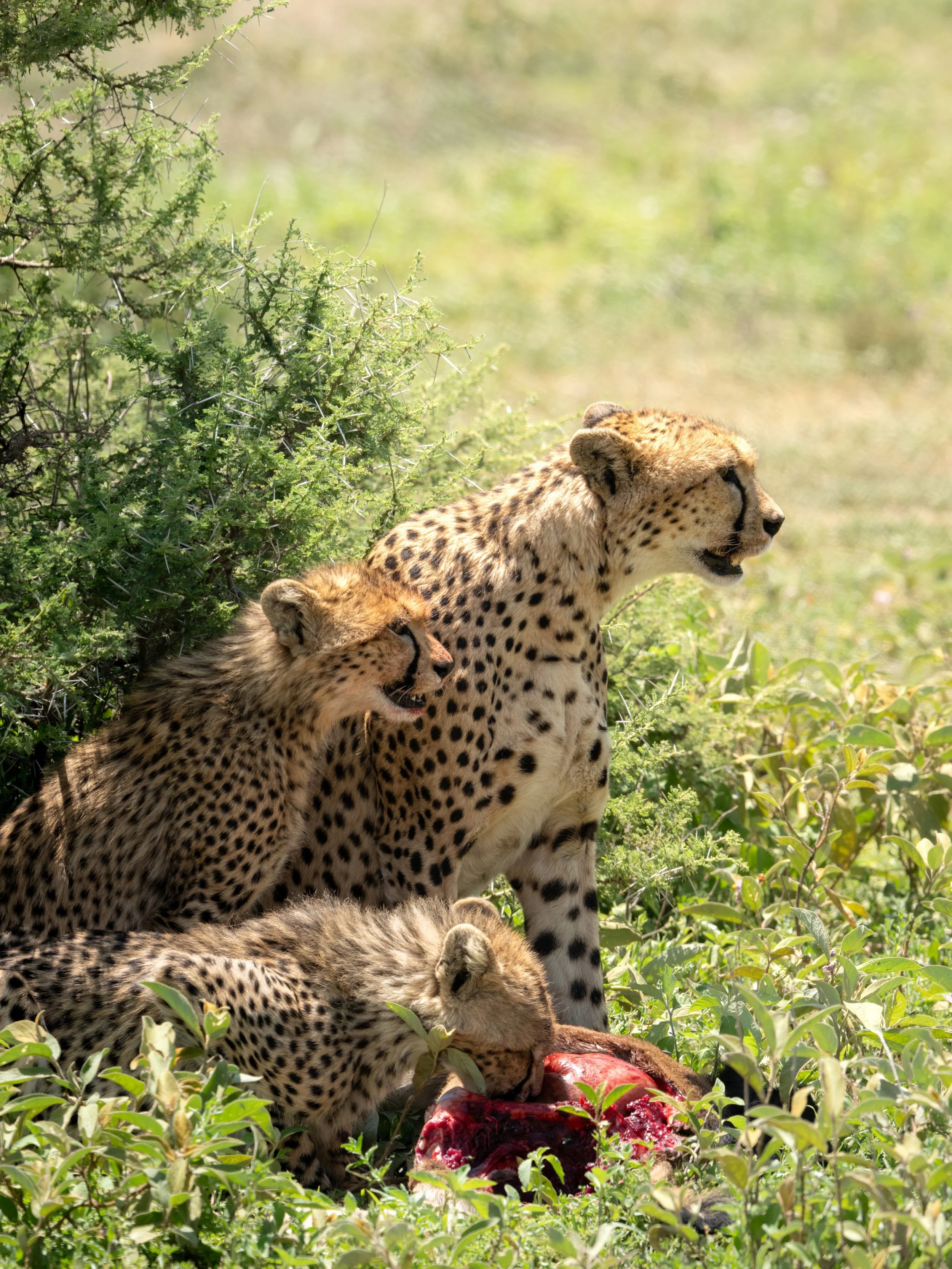 FINAL2_20 Drive 11842-topaz-denoise.jpg