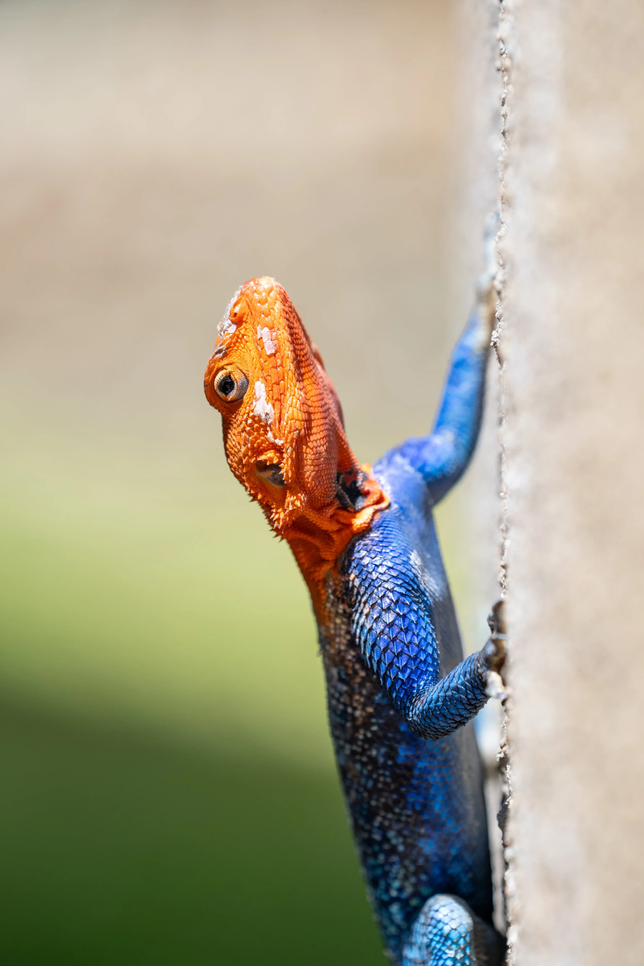 2_14 Drive 1a549.jpg