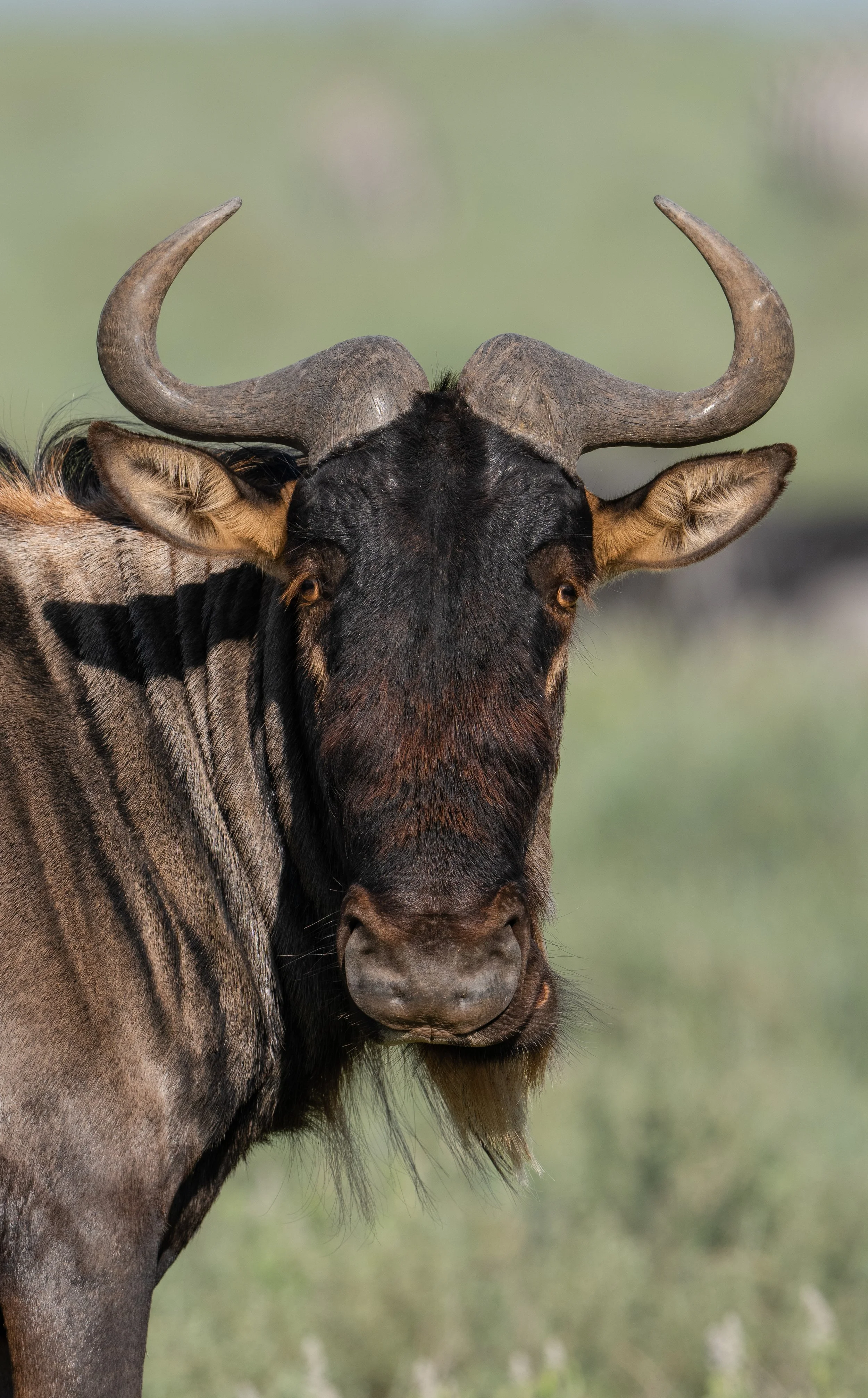 2_19 Drive 13373.jpg