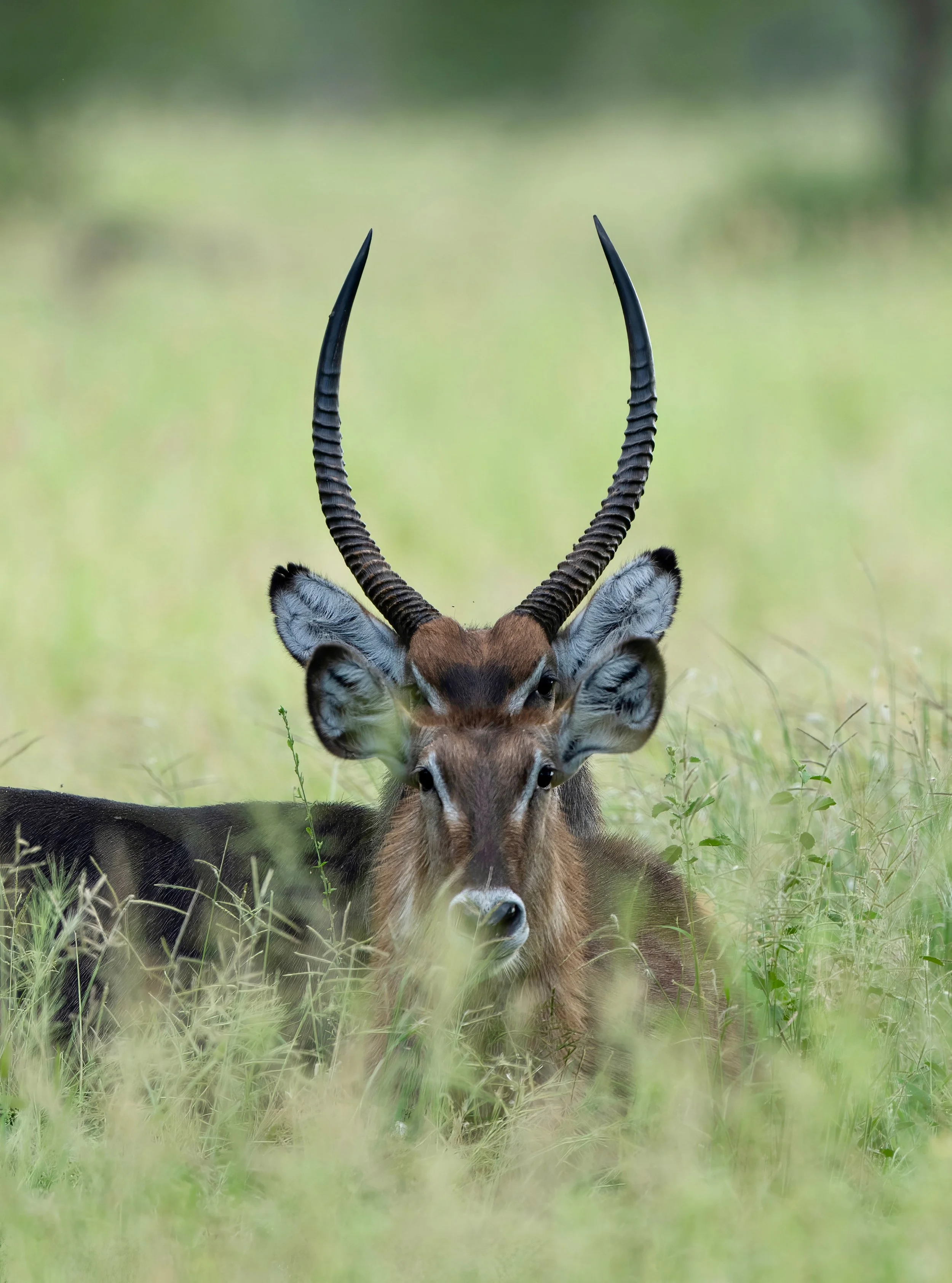 PS FINALDSC06053-topaz-sharpen-denoise.jpg