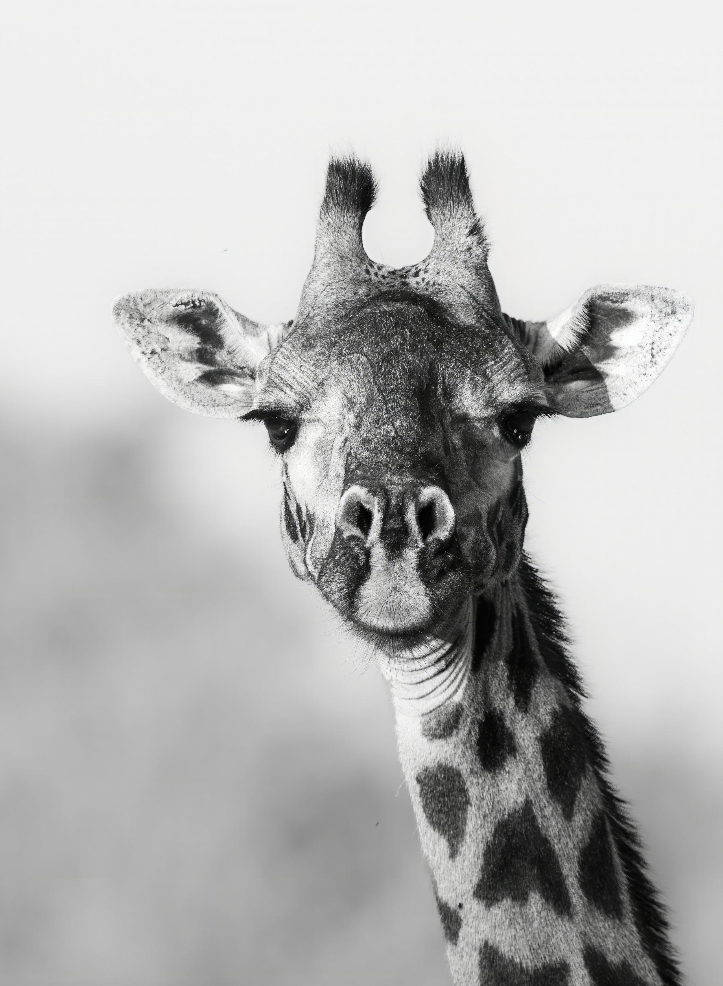 FINAL2_14 Drive 1b2615-topaz-denoise.jpg