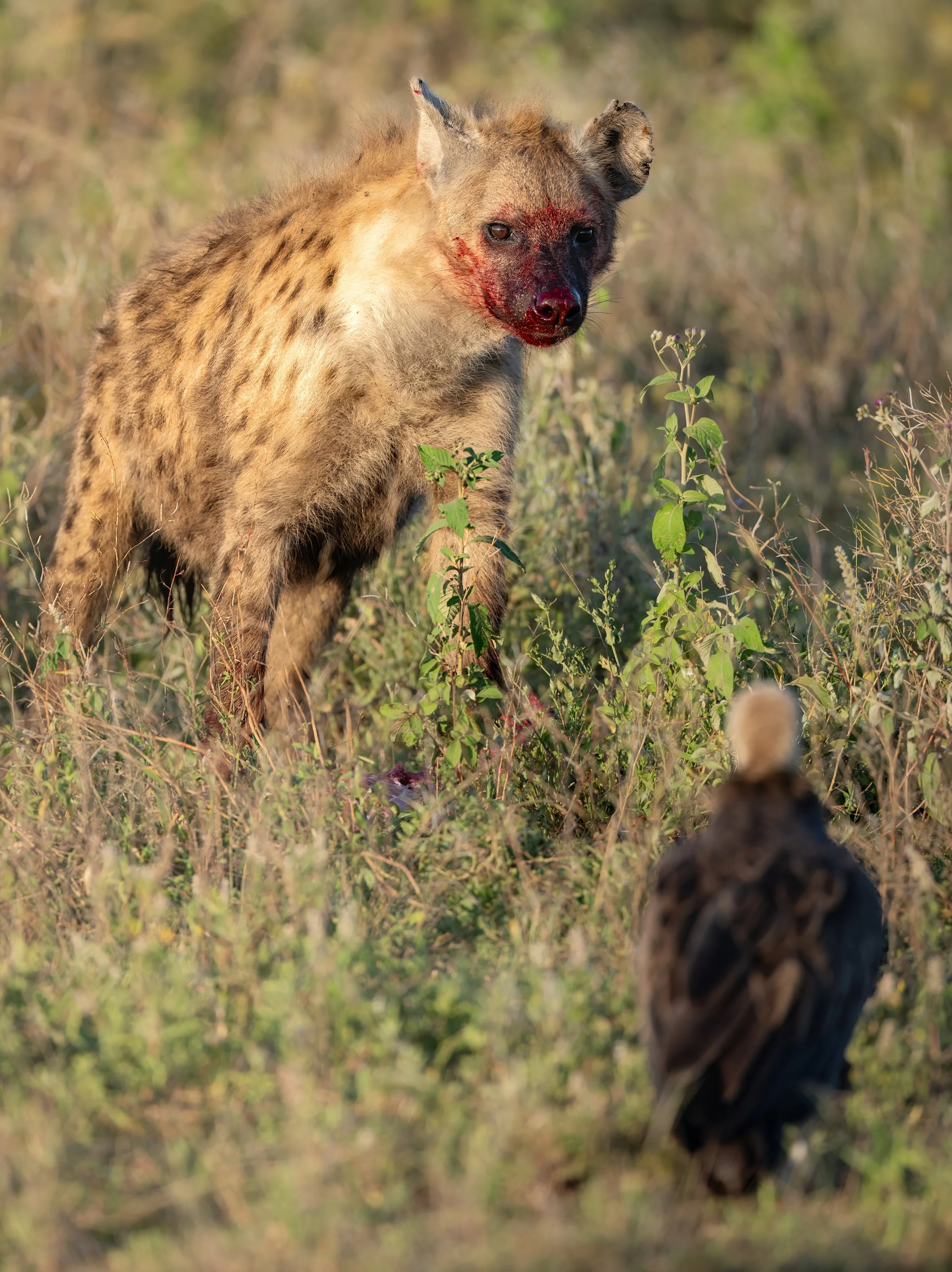 FINAL2_19 Drive 11500-topaz-denoise-sharpen.jpg