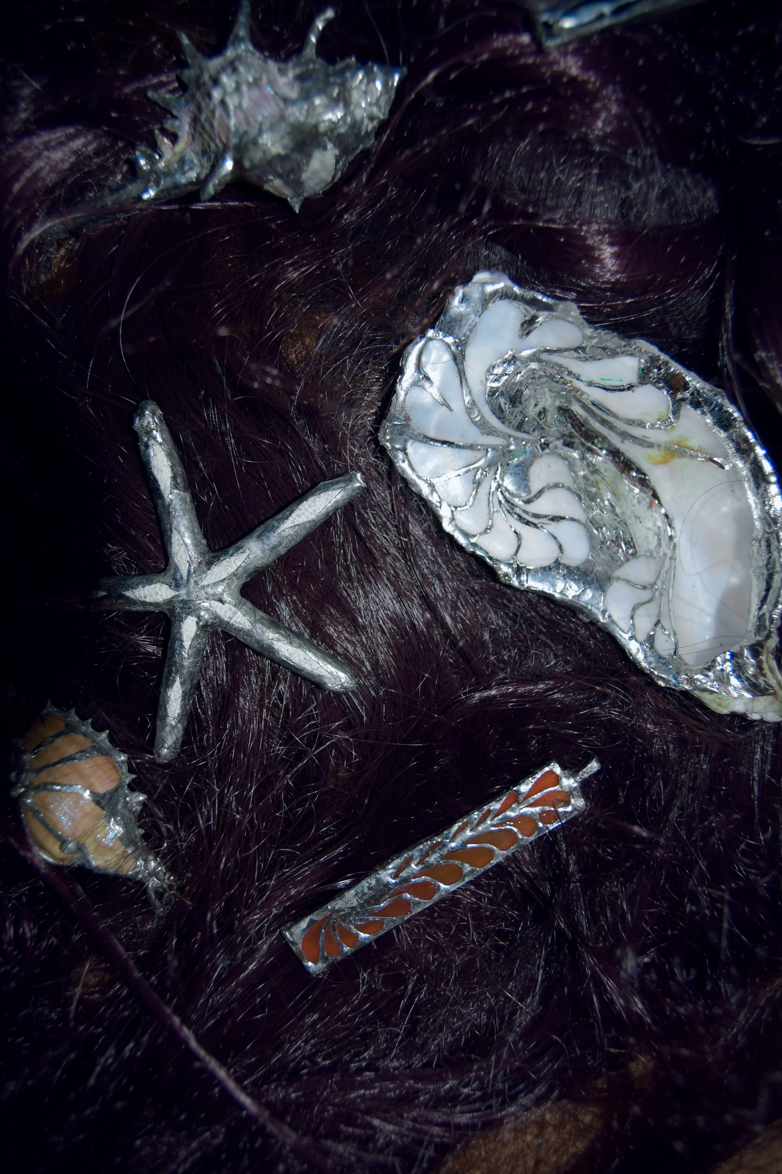 shells 7.jpg