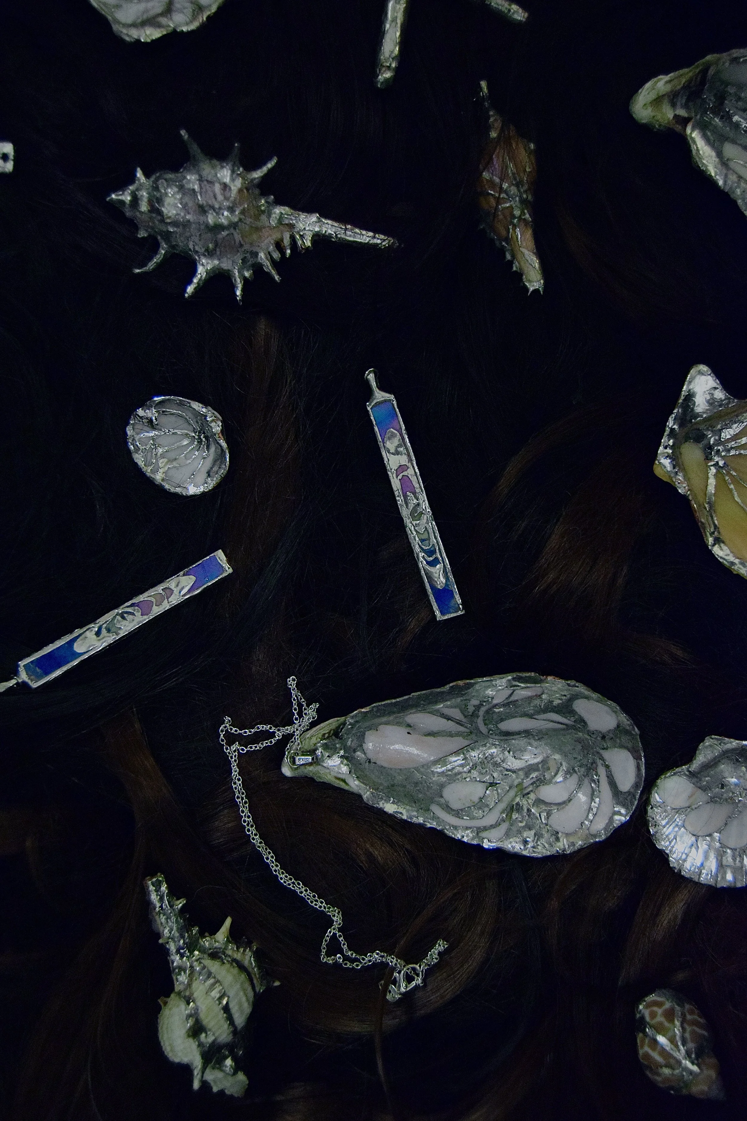 shells 13.jpg