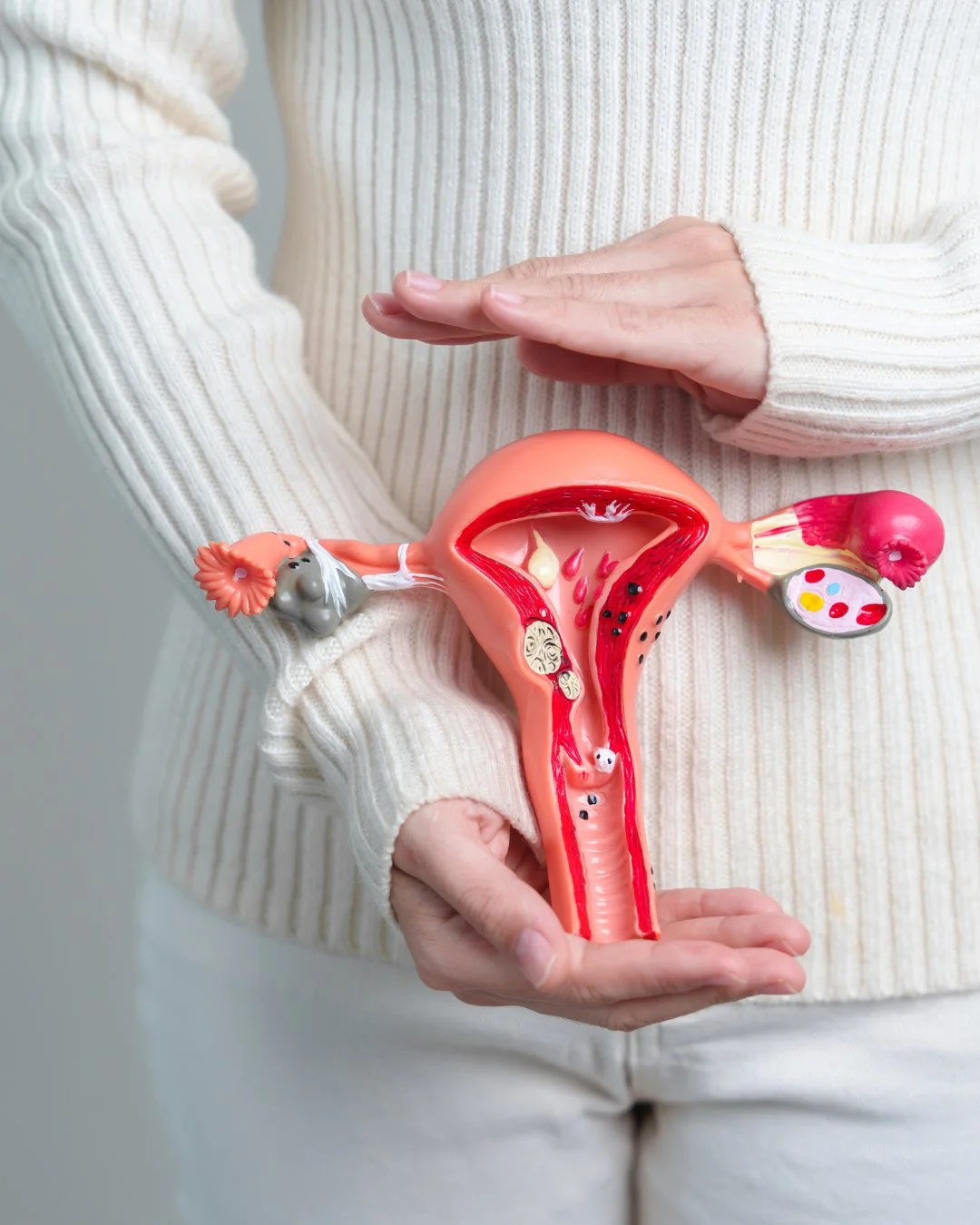 HORMONES AND THE GUT ARE DEEPLY CONNECTED⁠
⁠
As estrogen fluctuates in perimenopause, the balance of gut bacteria shifts. Research supported by the National Institutes of Health shows that estrogen influences gut diversity, which in turn affects mood