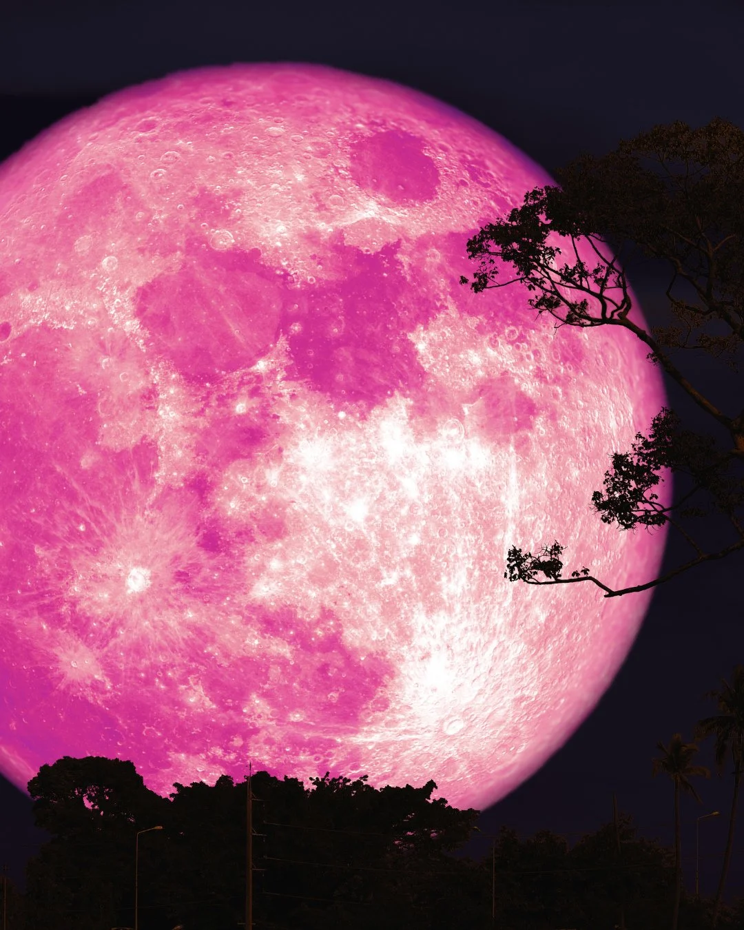 Tonight's pink moon in Libra highlights balance, fairness, and relationship dynamics. Spiritually, it asks where harmony is missing and how justice, compassion, and mutual respect can be restored. A beautiful time to recalibrate both inner and outer 