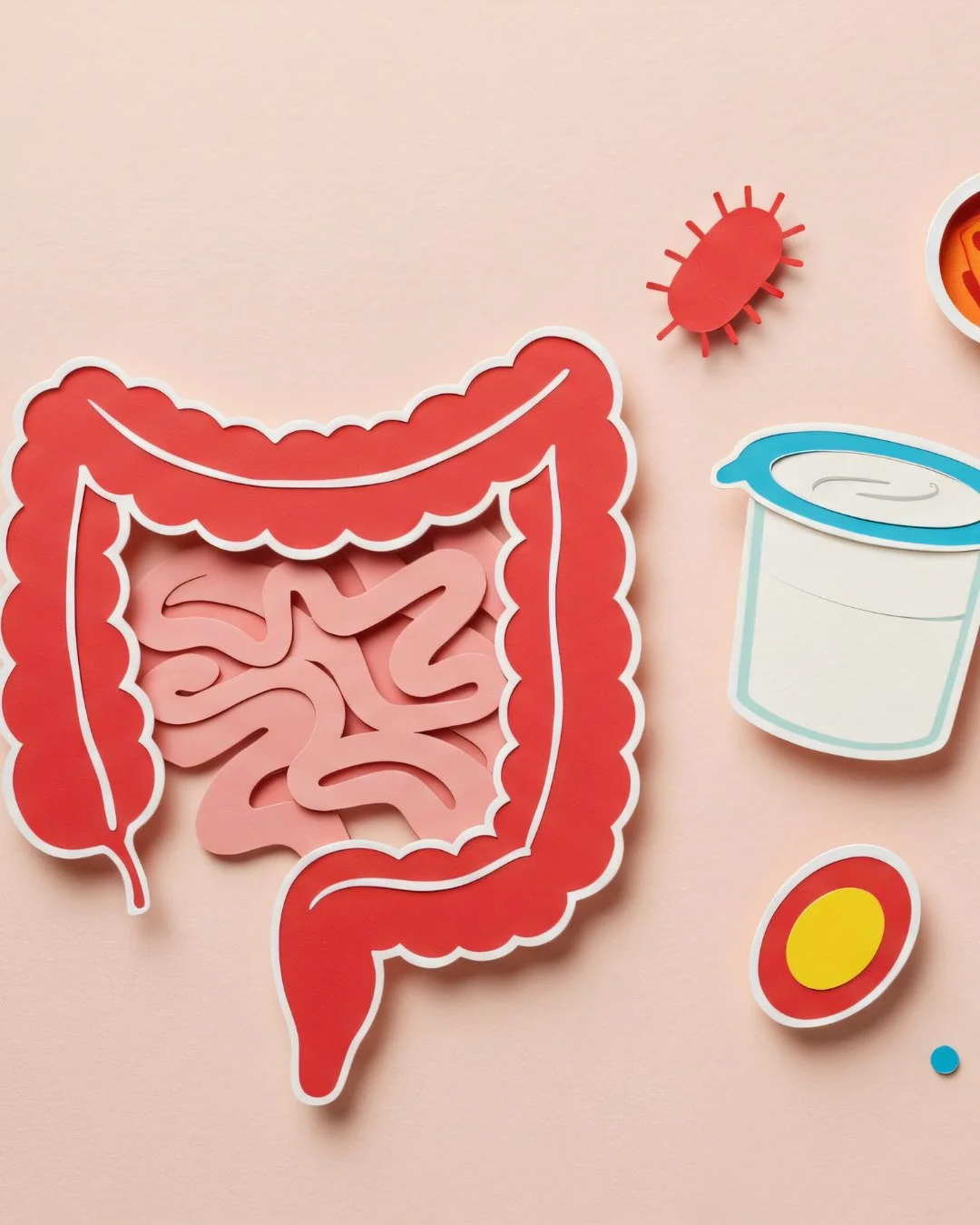 YOUR GUT IS CENTRAL TO IMMUNE FUNCTION⁠
⁠
Approximately 70 percent of the immune system is housed in the gut, a figure widely cited in immunology research and supported by NIH data. A diverse and well-nourished microbiome helps regulate immune respon