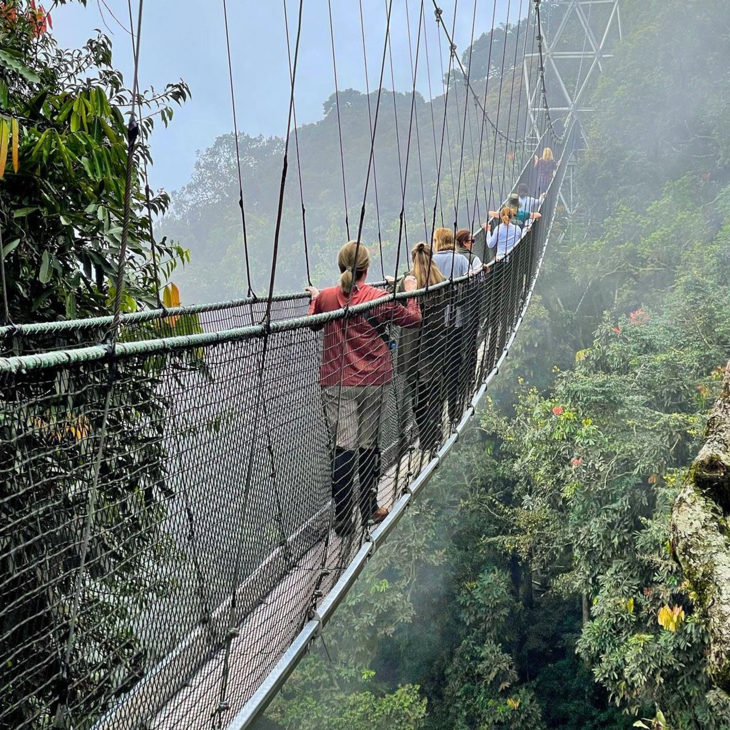 Image of ladies' backs on a netted bridge in Rwanda