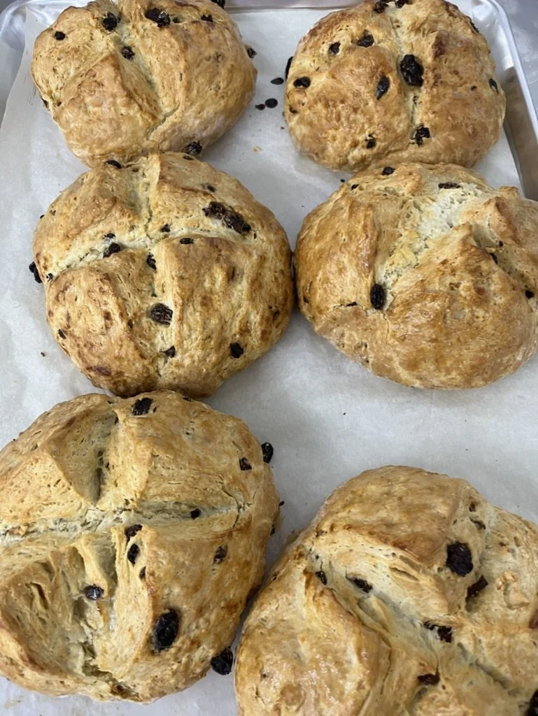 Six freshly baked scones on white parchment paper.
